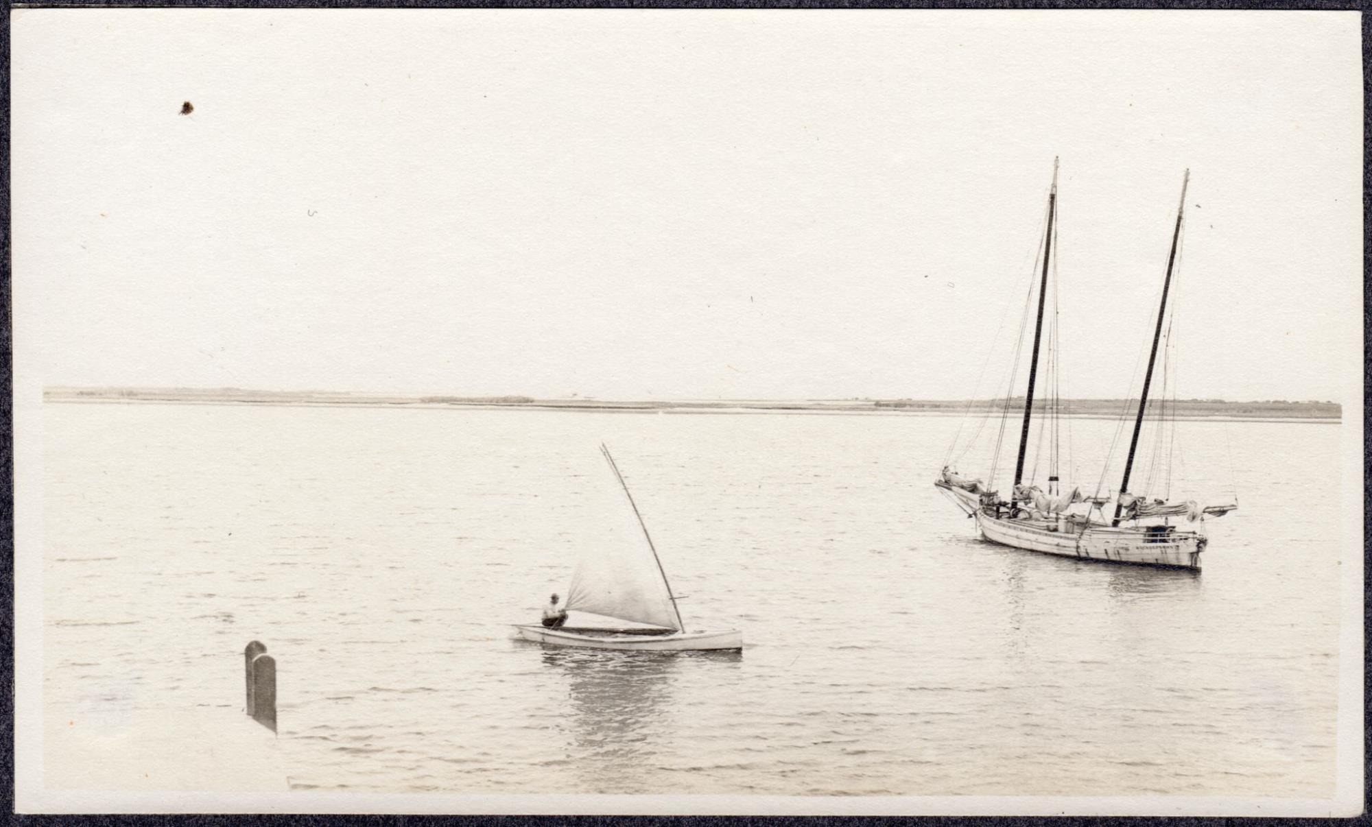 CBMM catalog image