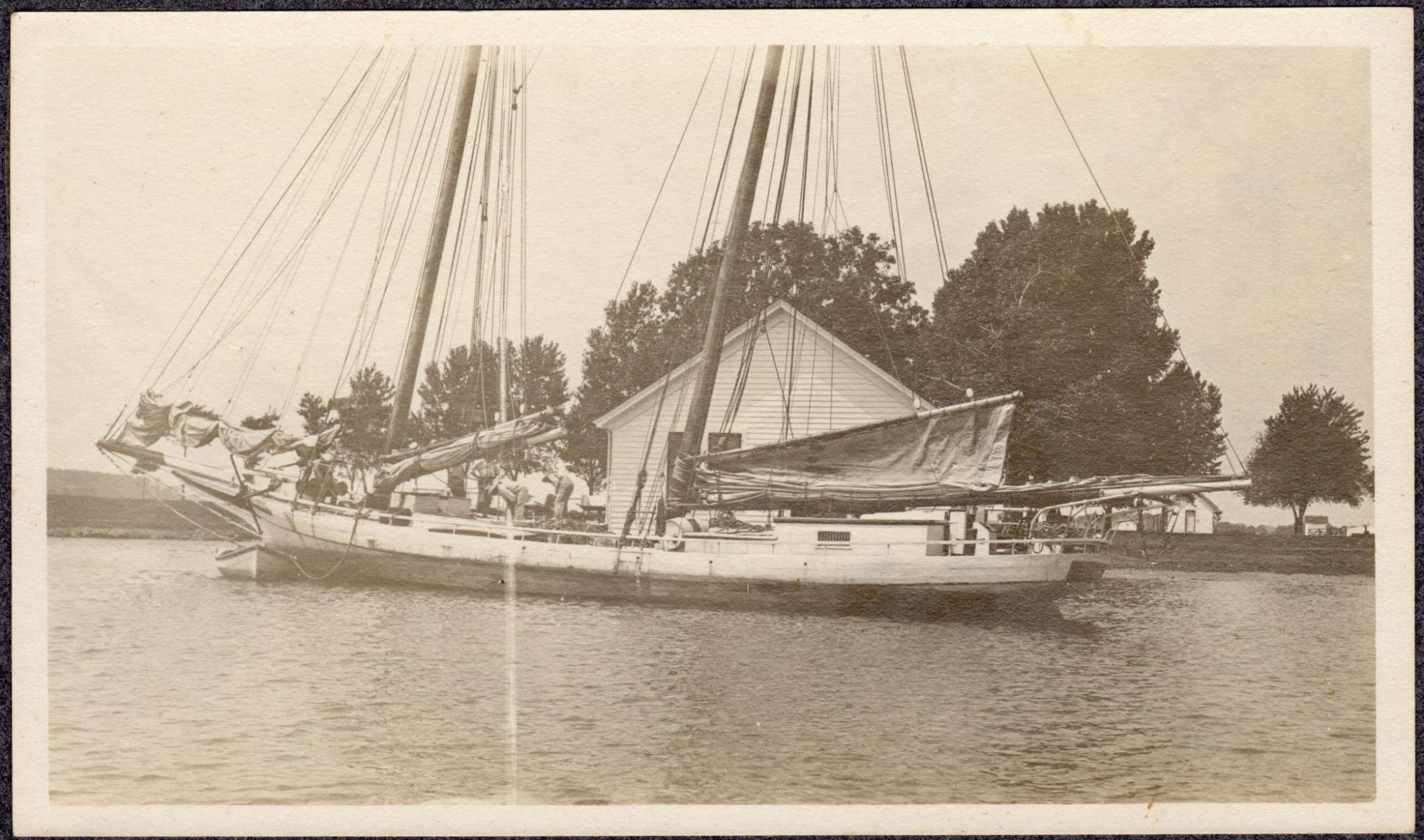 CBMM catalog image
