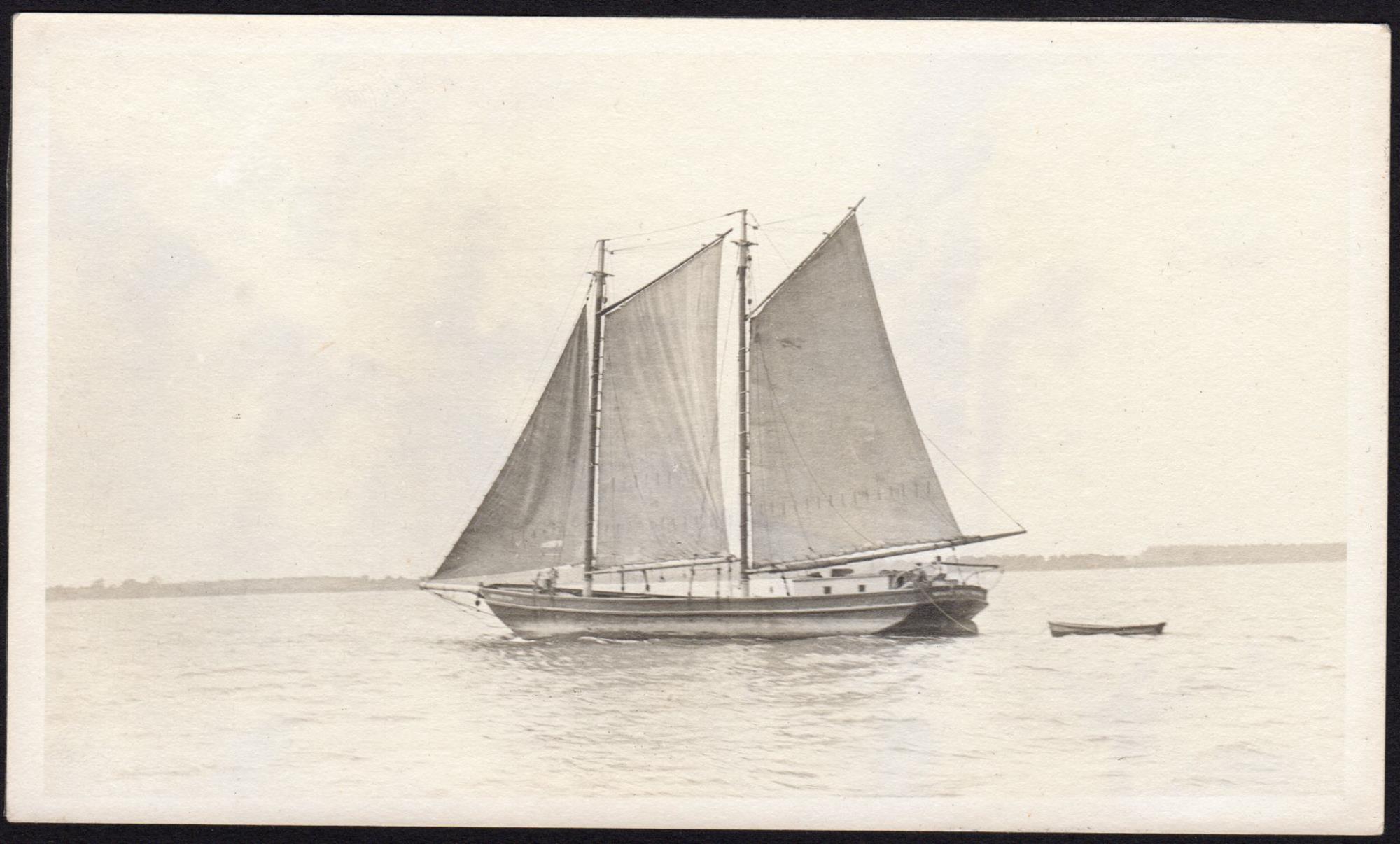 CBMM catalog image