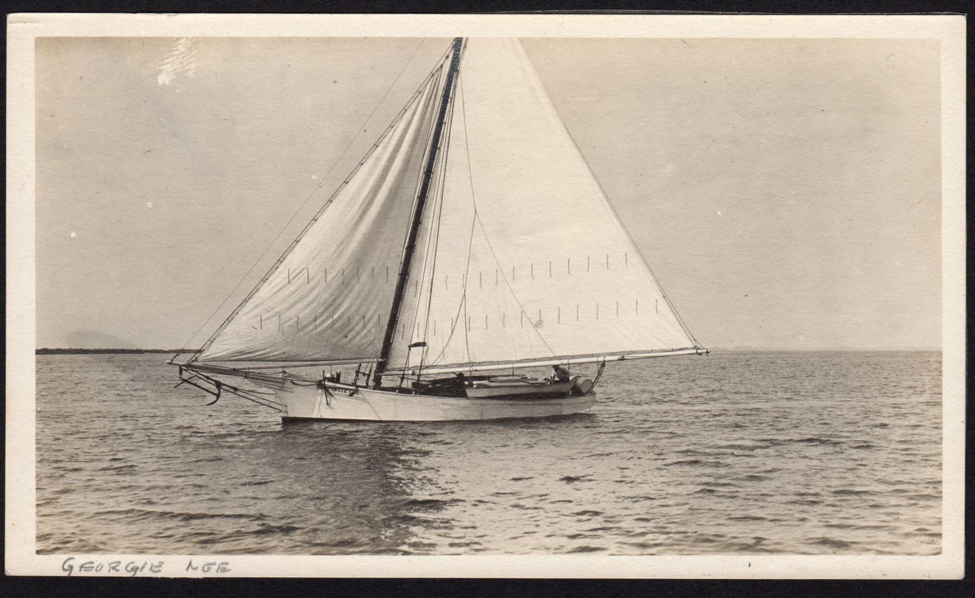CBMM catalog image