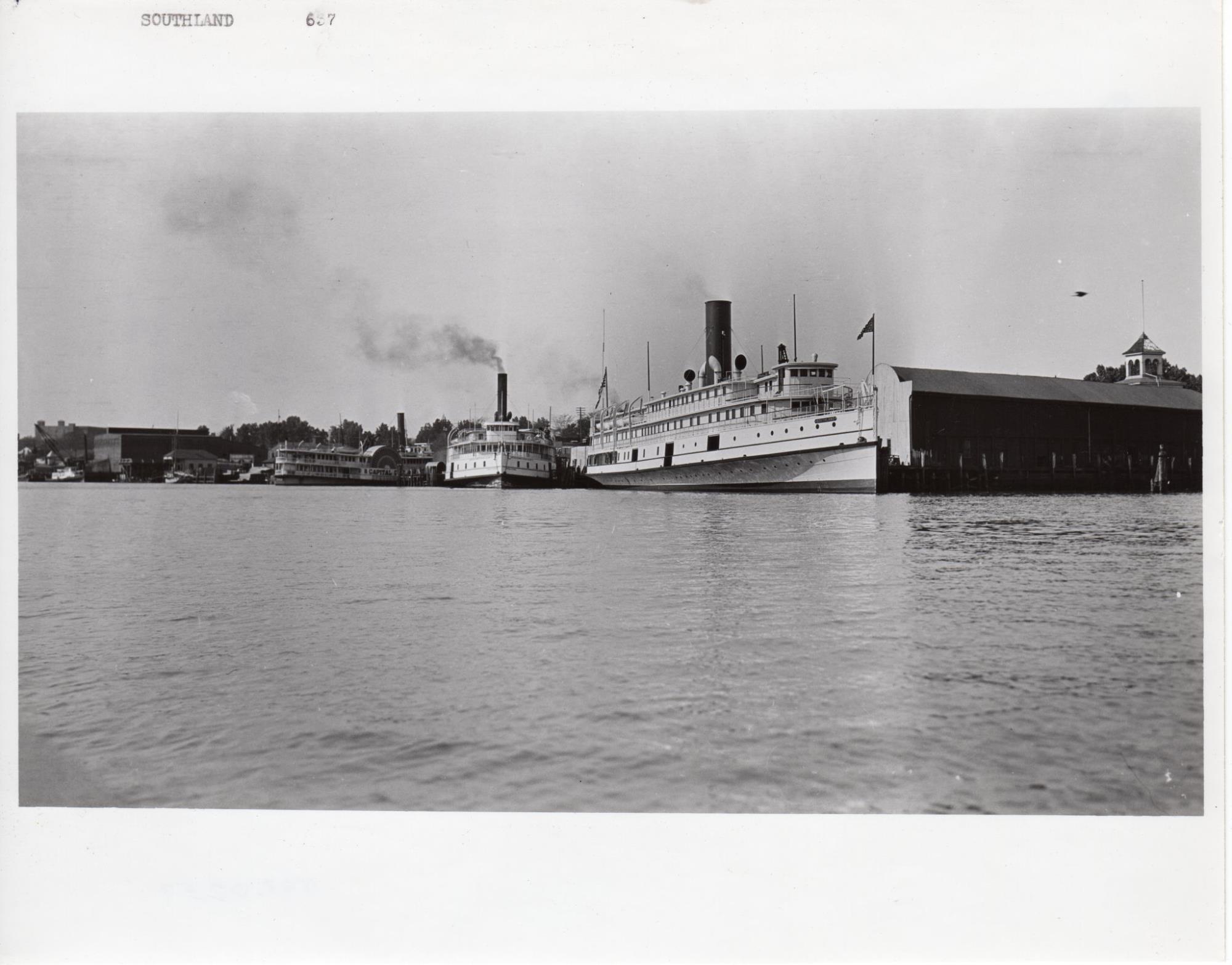 CBMM catalog image