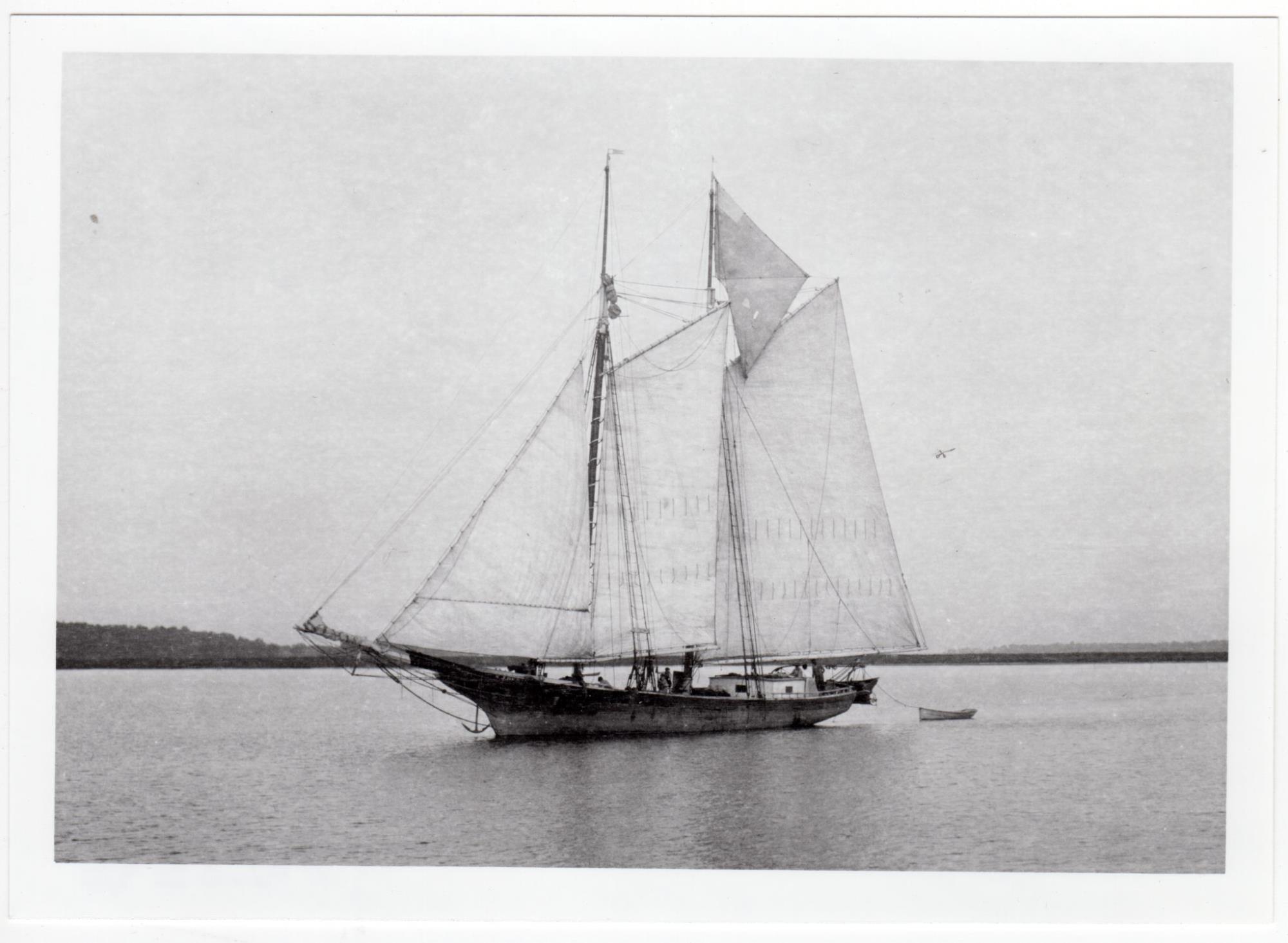 CBMM catalog image