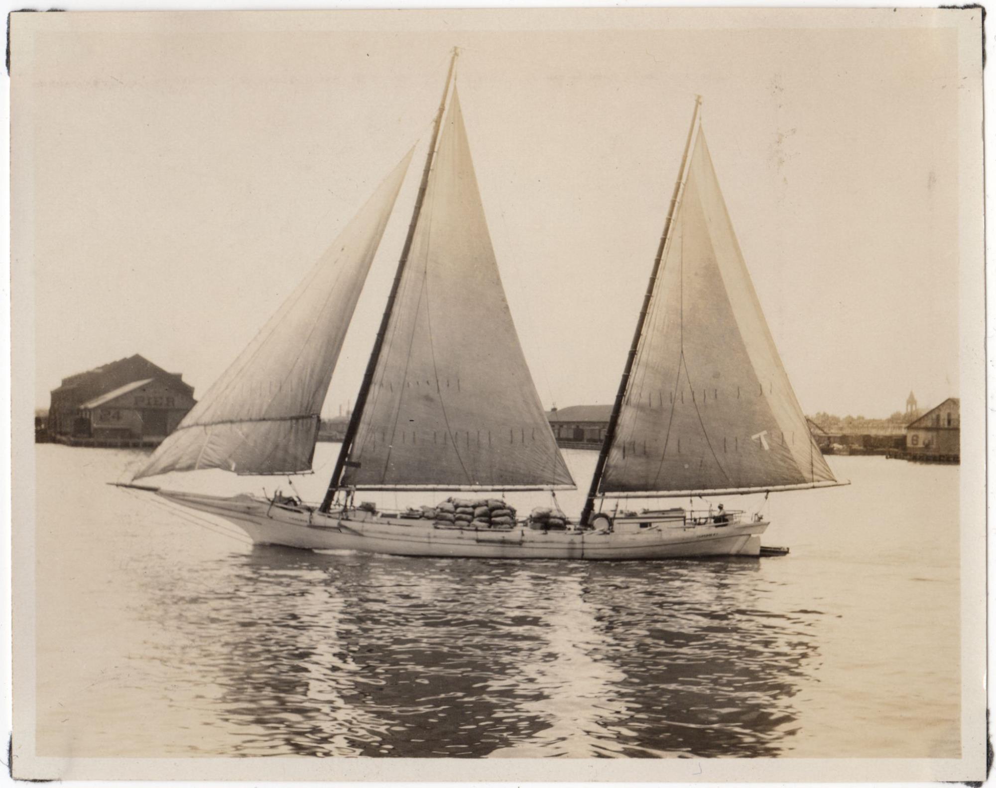 CBMM catalog image