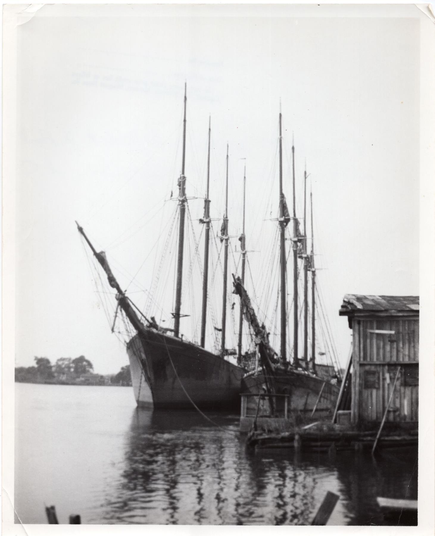 CBMM catalog image
