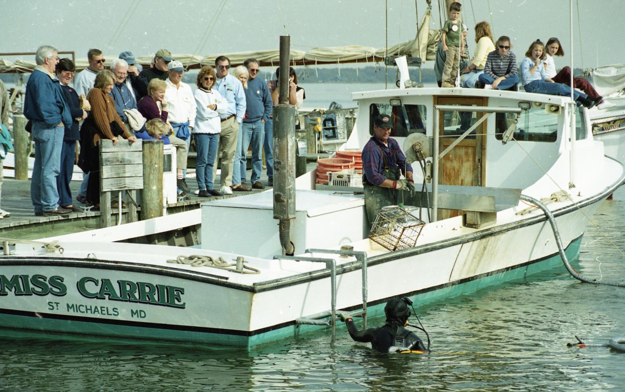 CBMM catalog image