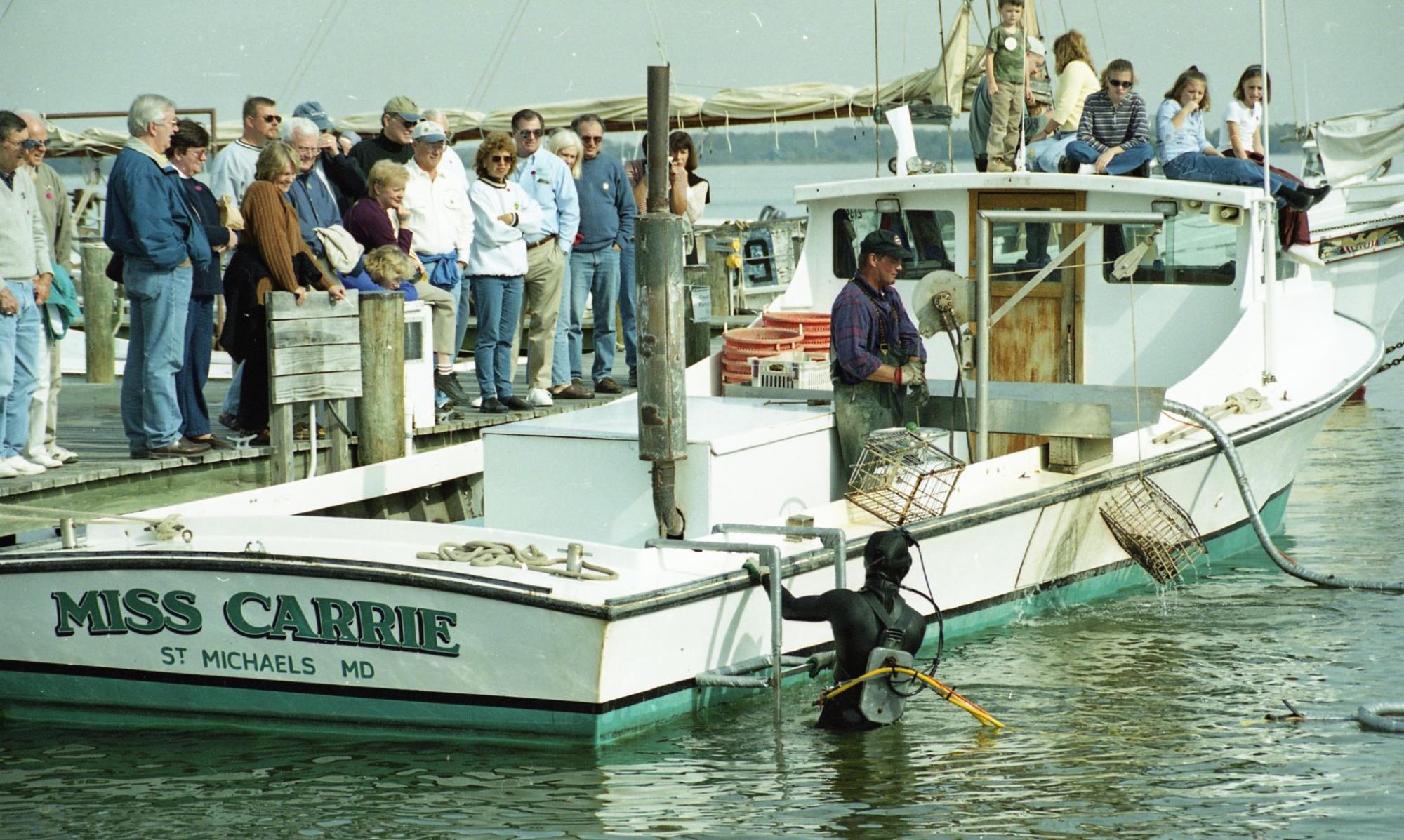 CBMM catalog image