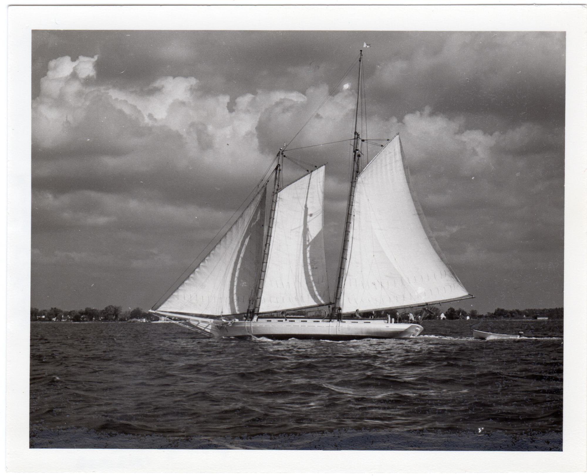 CBMM catalog image
