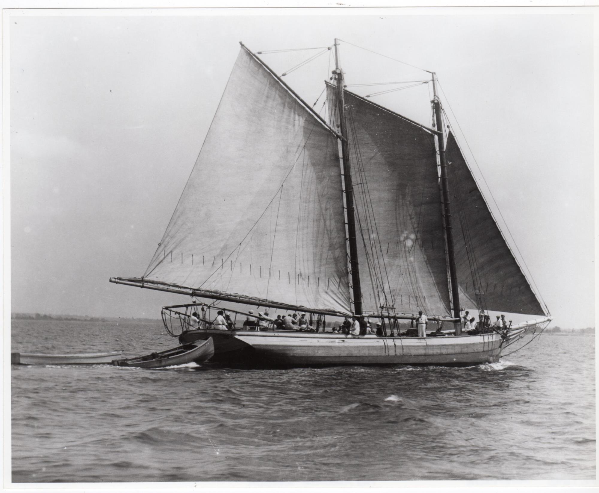 CBMM catalog image