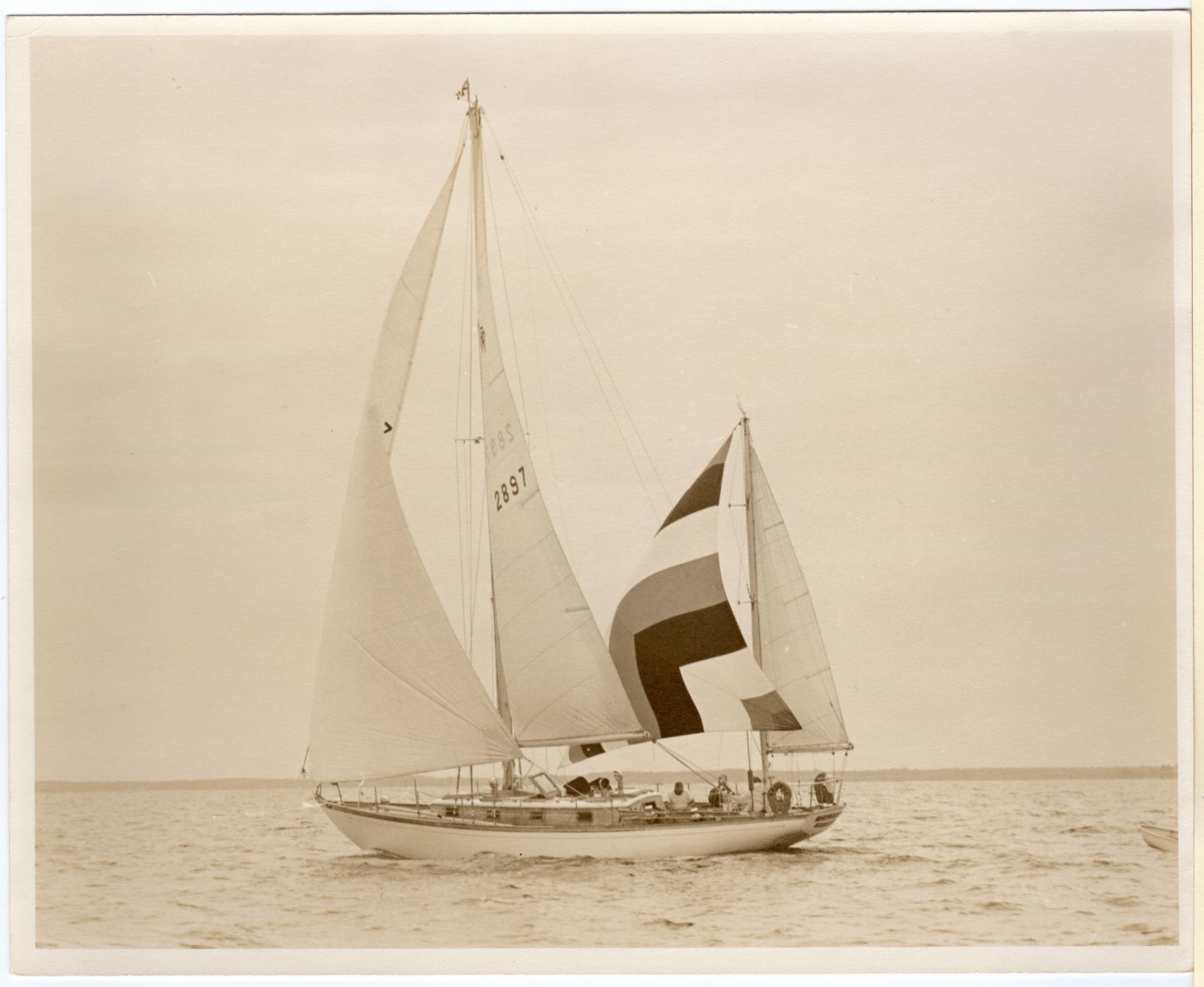 CBMM catalog image