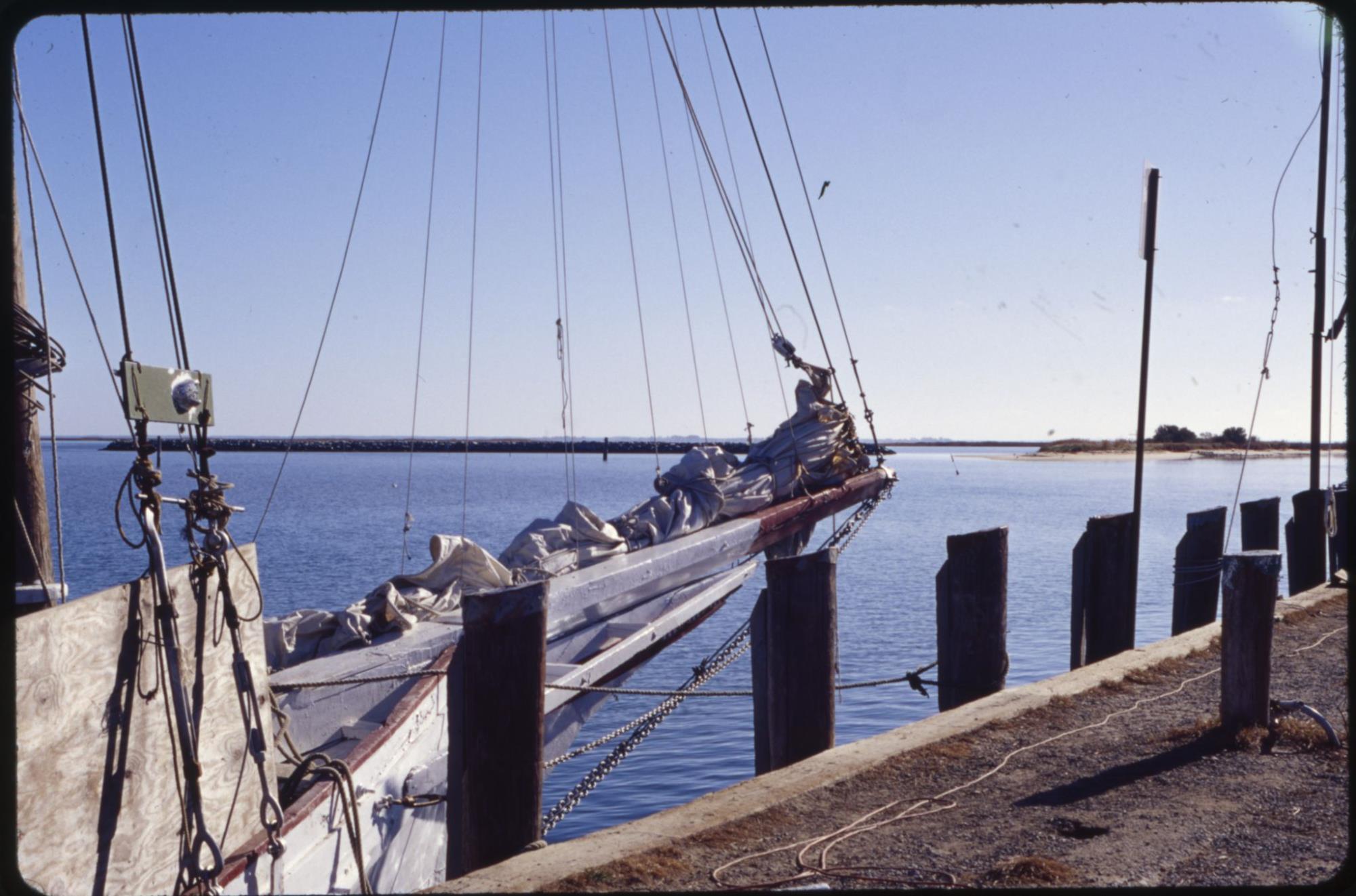 CBMM catalog image