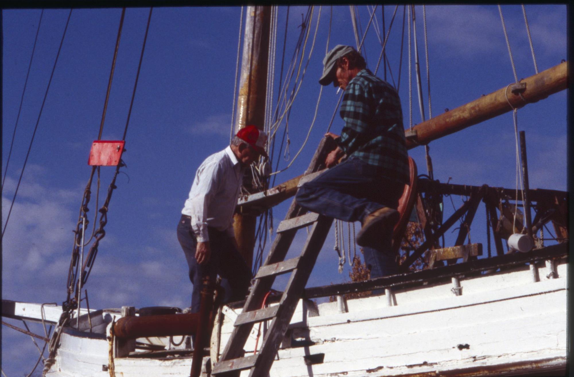 CBMM catalog image