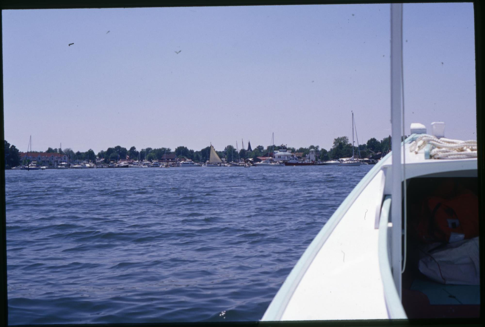 CBMM catalog image