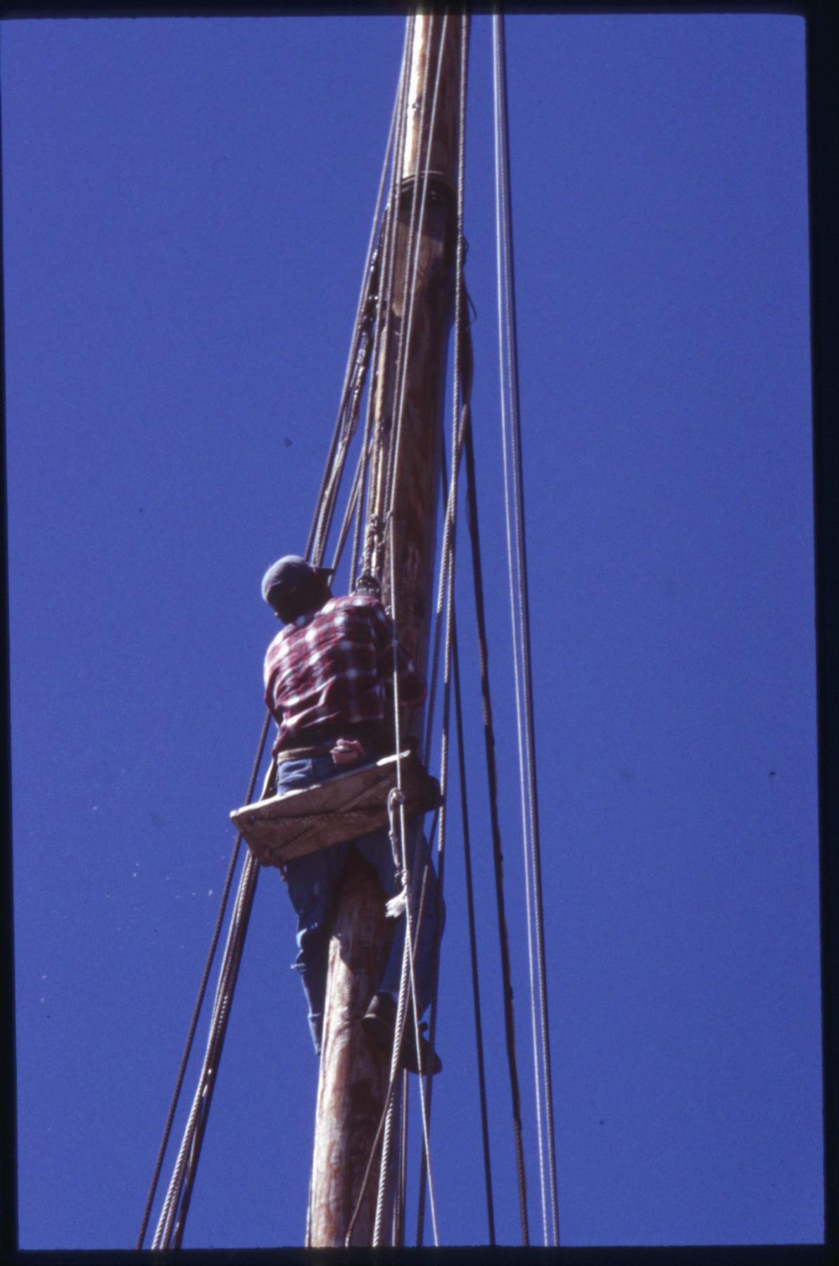 CBMM catalog image