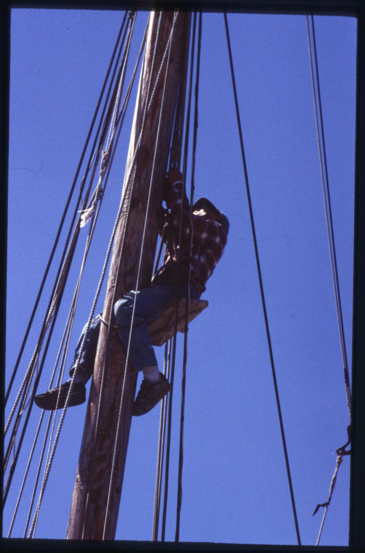 CBMM catalog image
