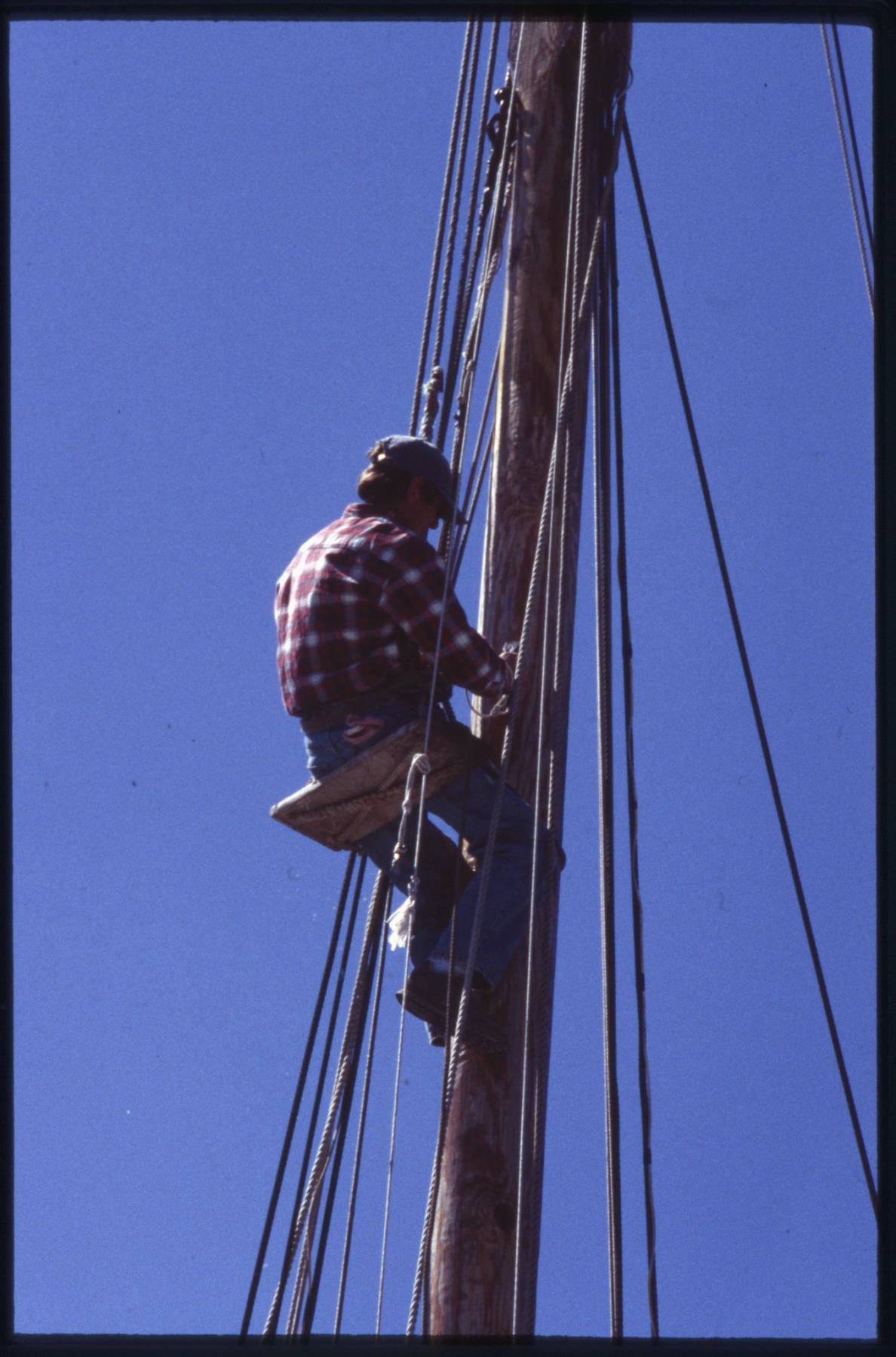 CBMM catalog image