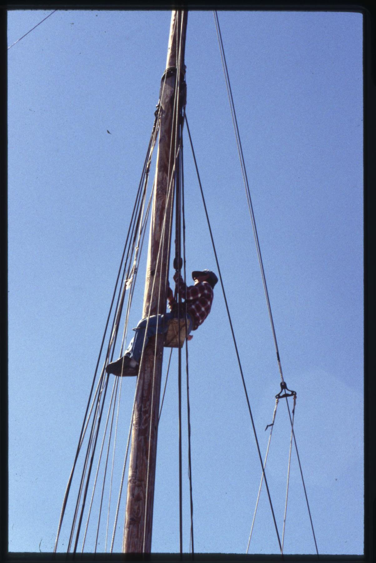 CBMM catalog image