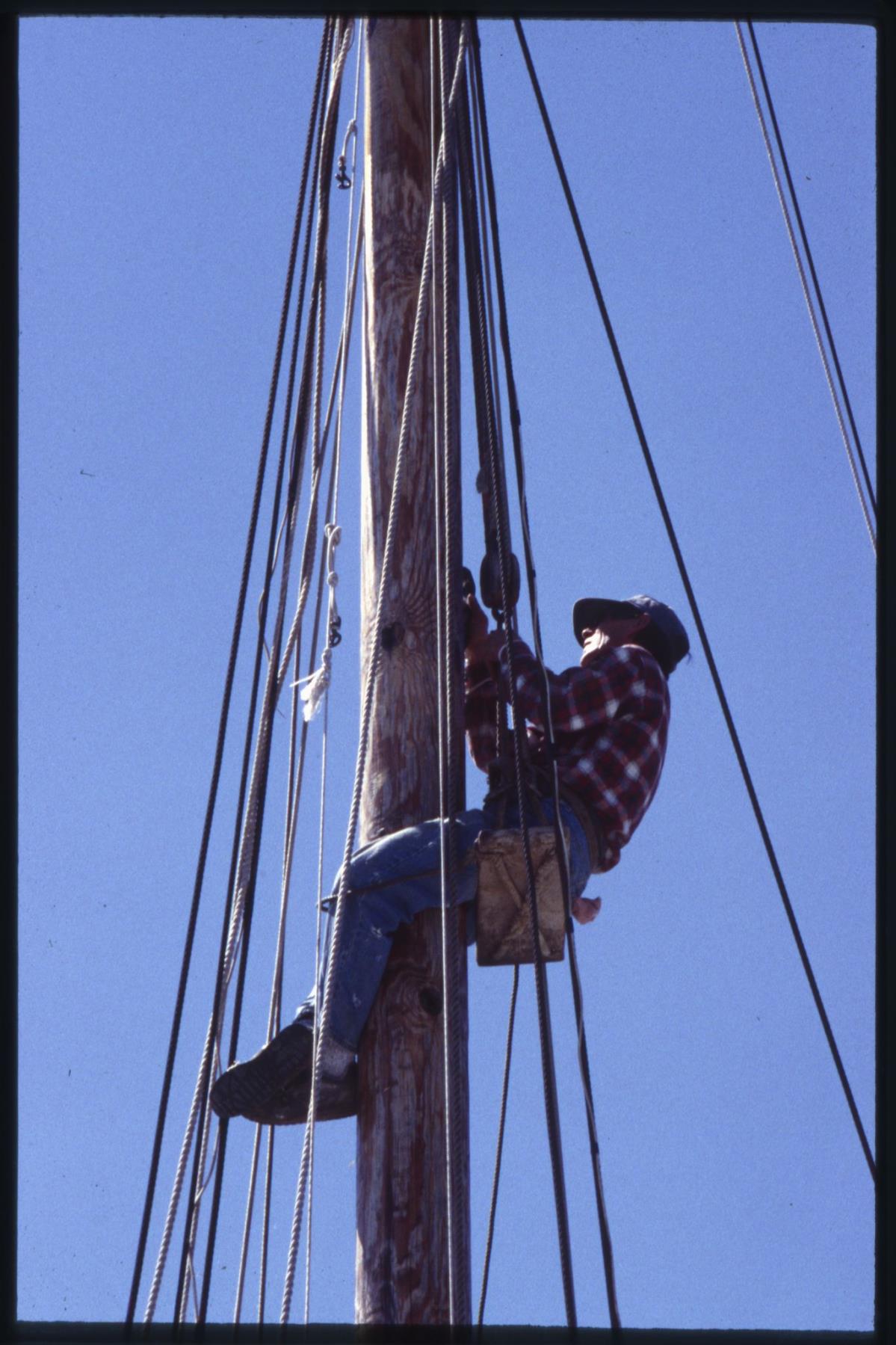 CBMM catalog image