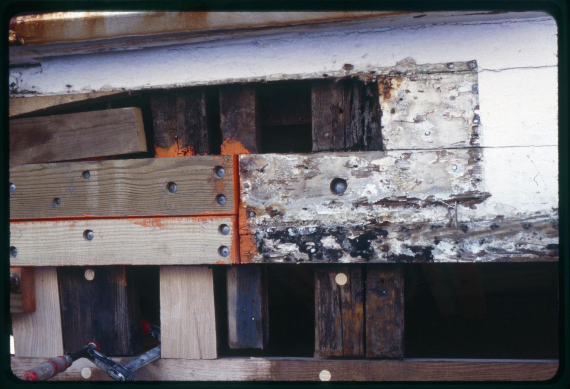 CBMM catalog image
