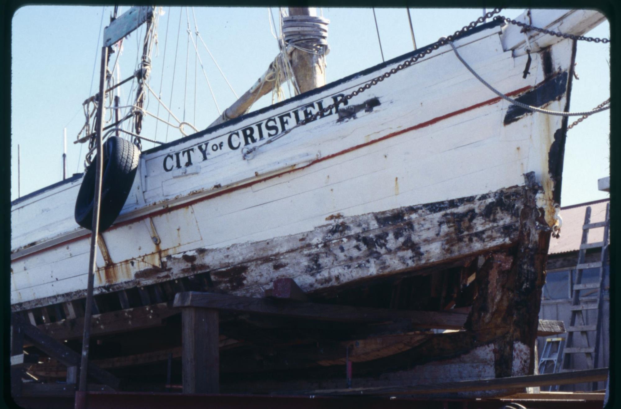 CBMM catalog image