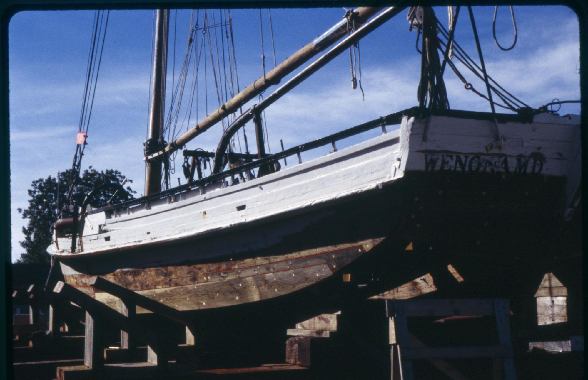 CBMM catalog image