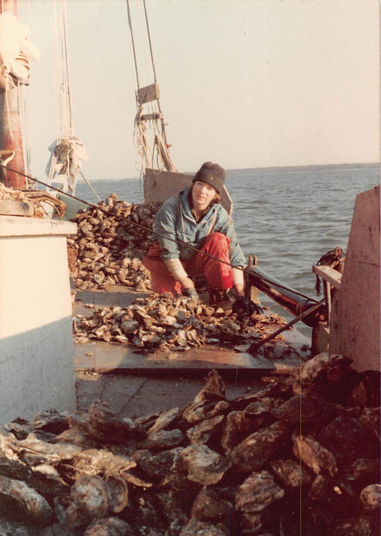 CBMM catalog image