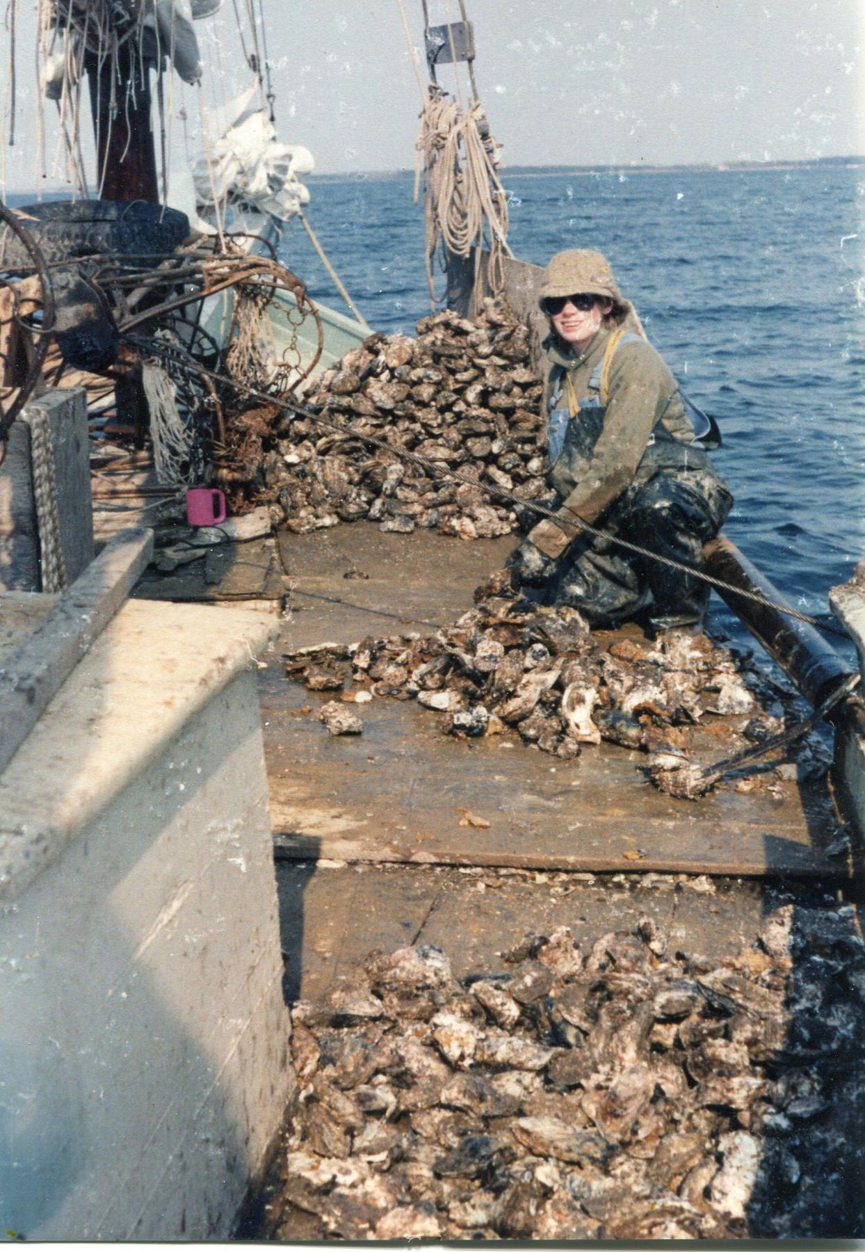 CBMM catalog image