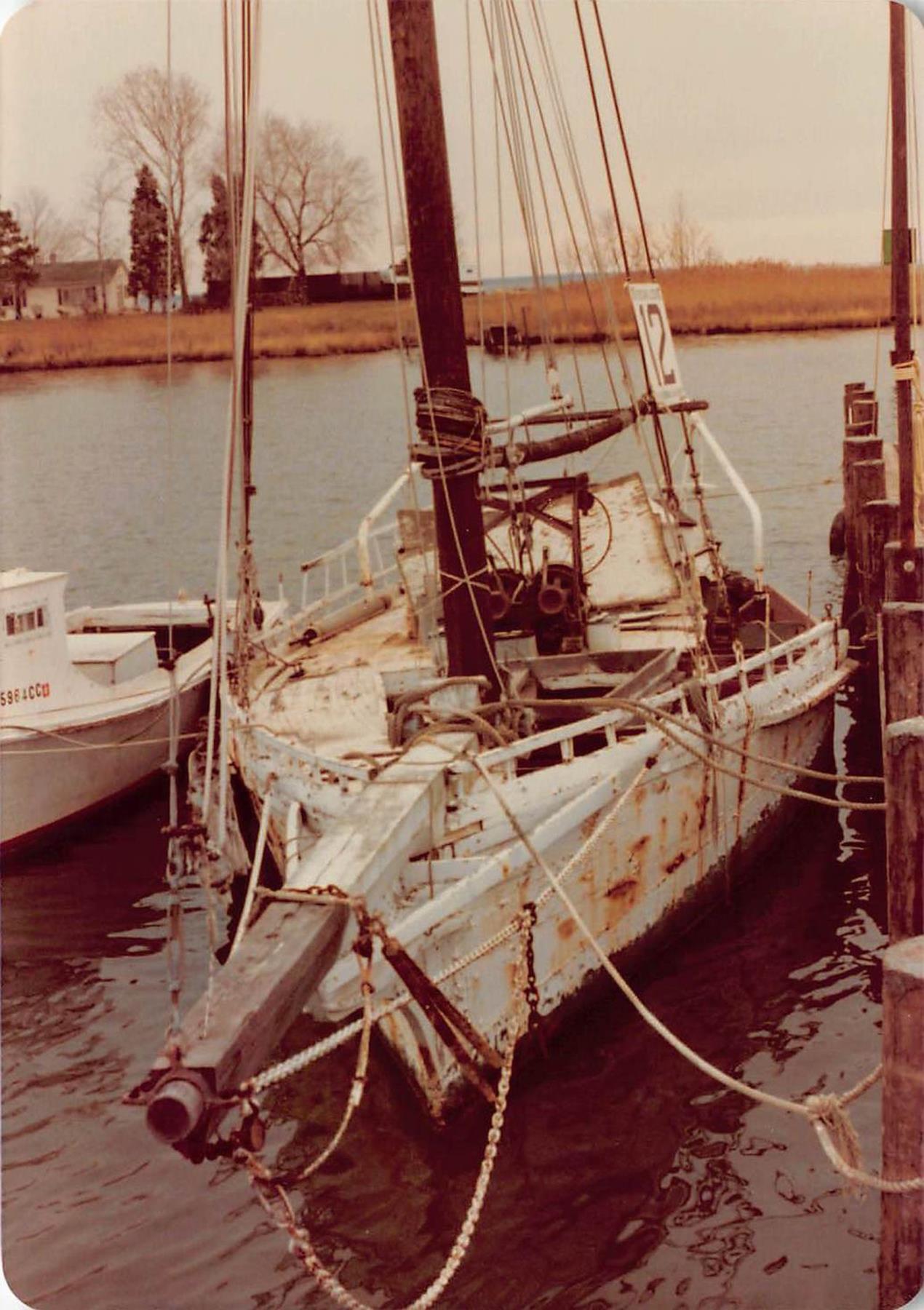 CBMM catalog image