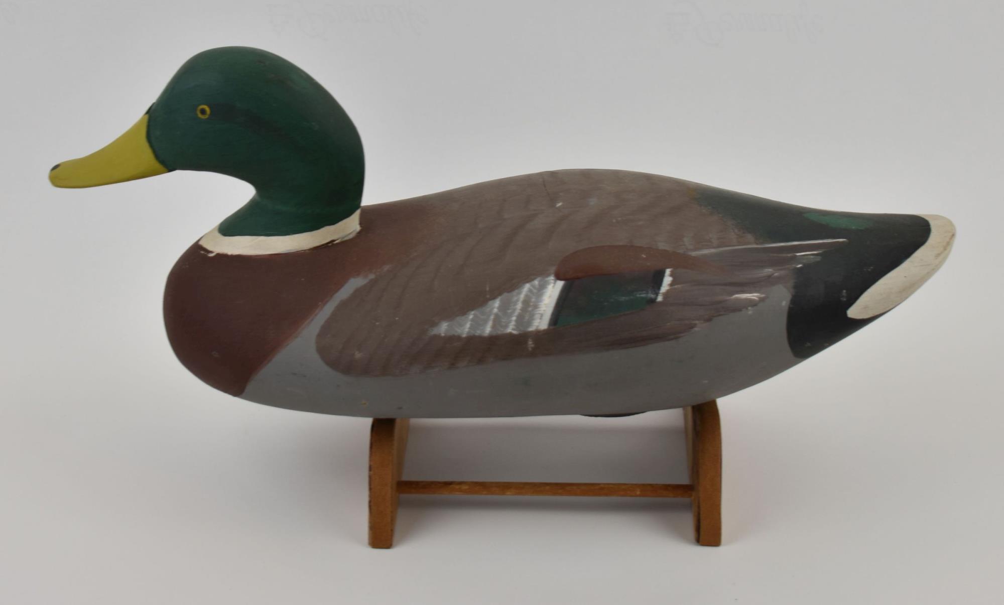 CBMM catalog image