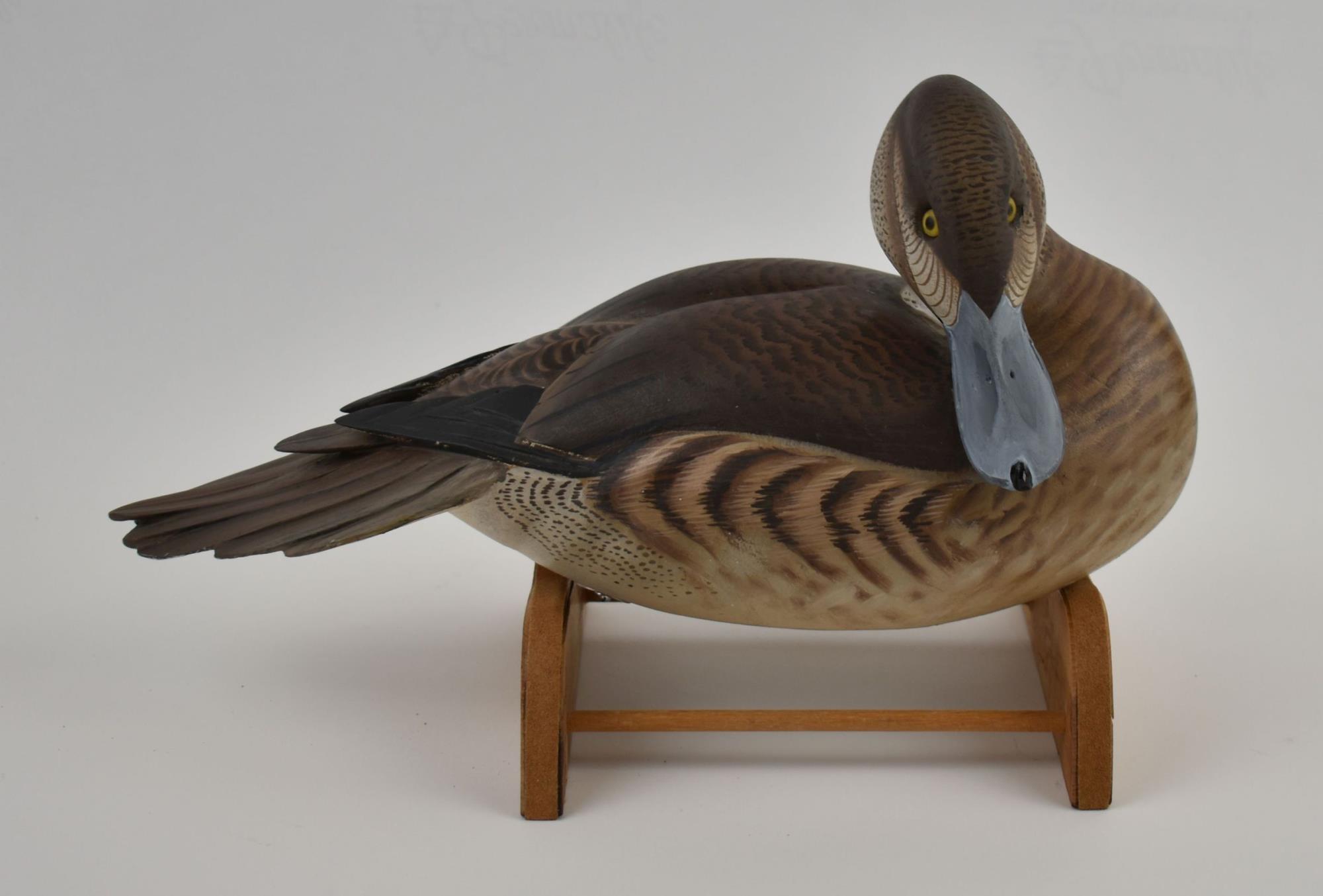 CBMM catalog image