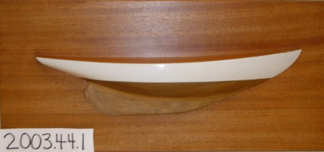 CBMM catalog image