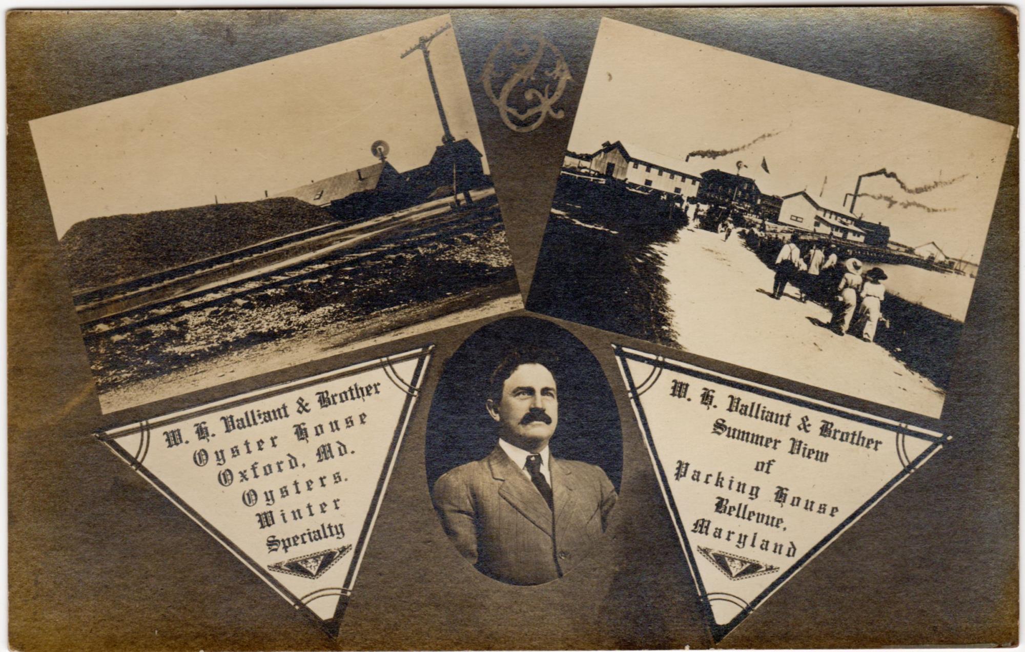 CBMM catalog image
