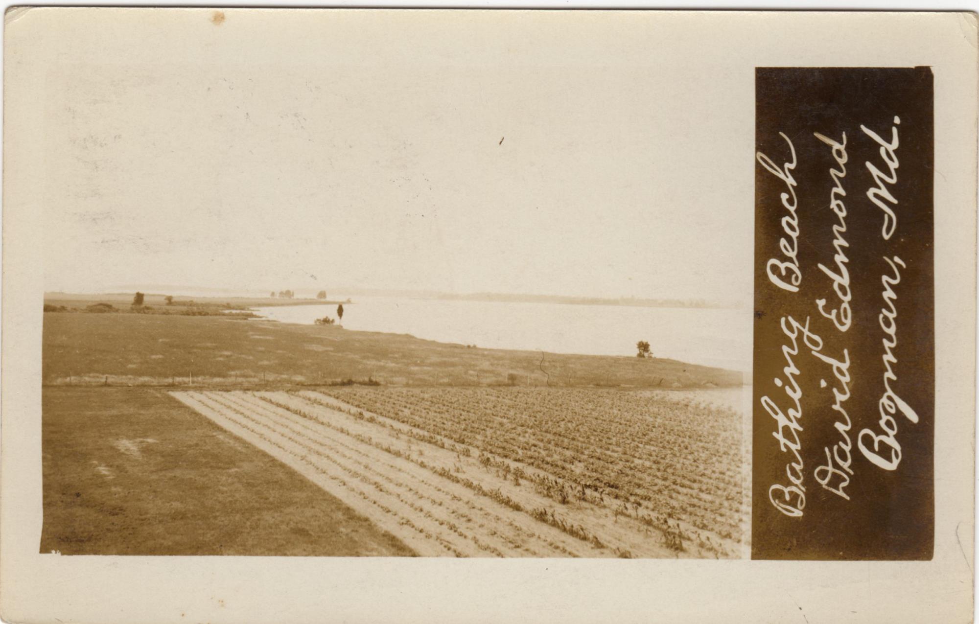 CBMM catalog image