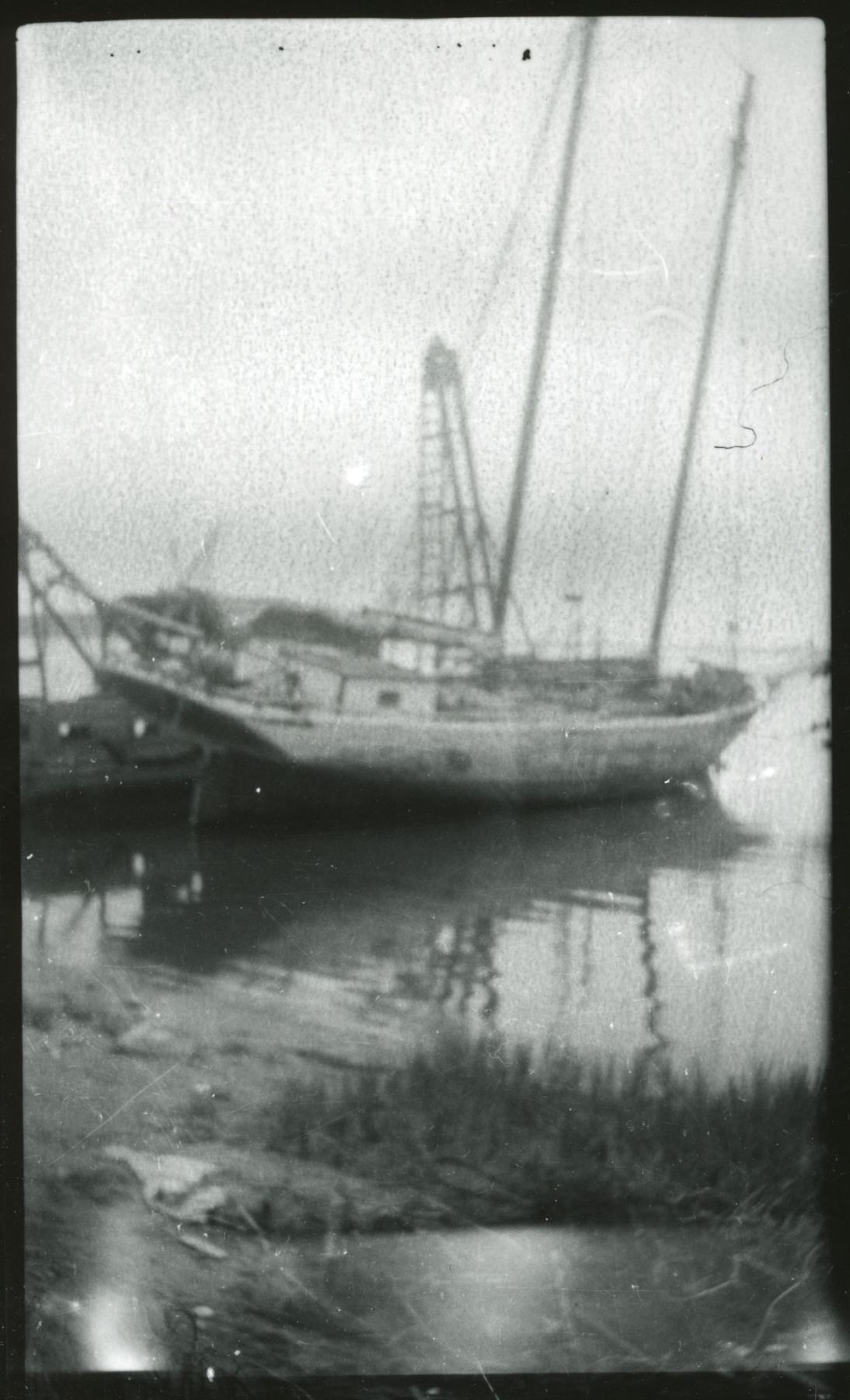 CBMM catalog image