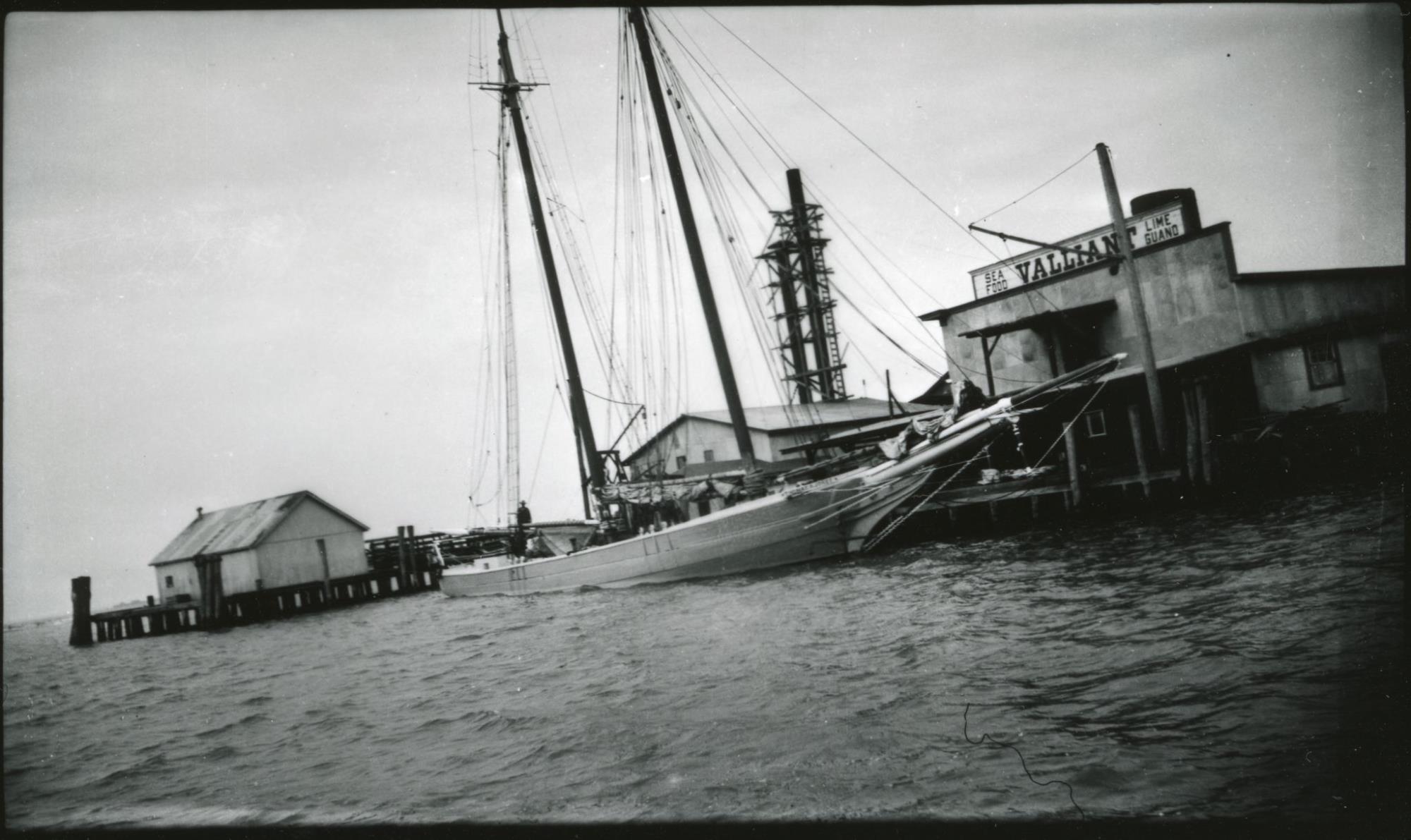 CBMM catalog image