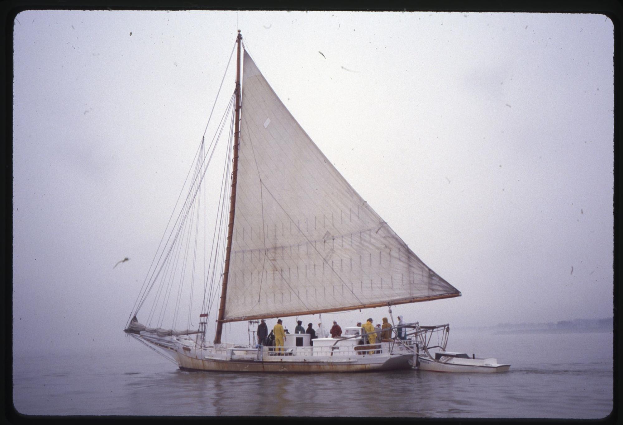 CBMM catalog image