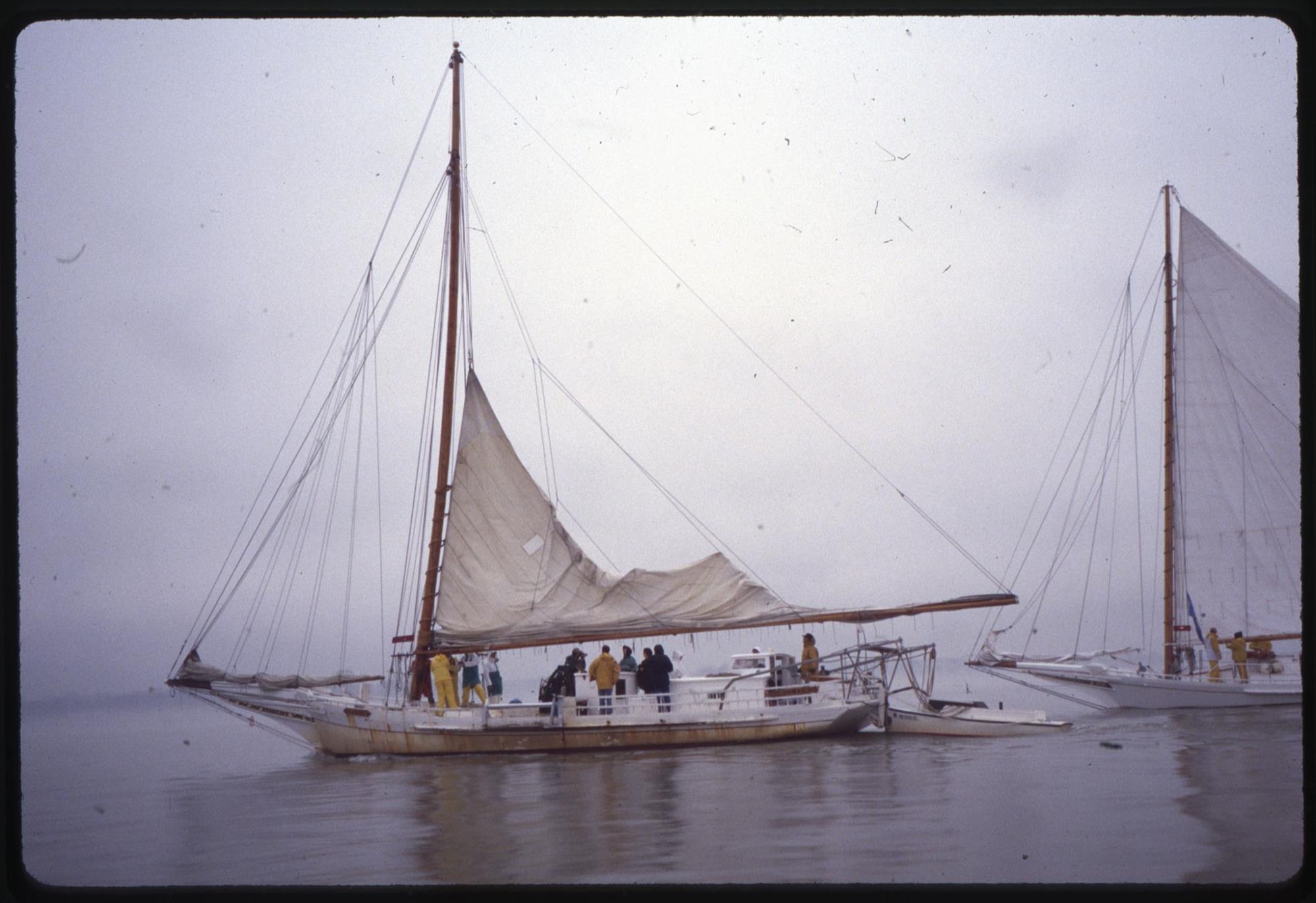 CBMM catalog image