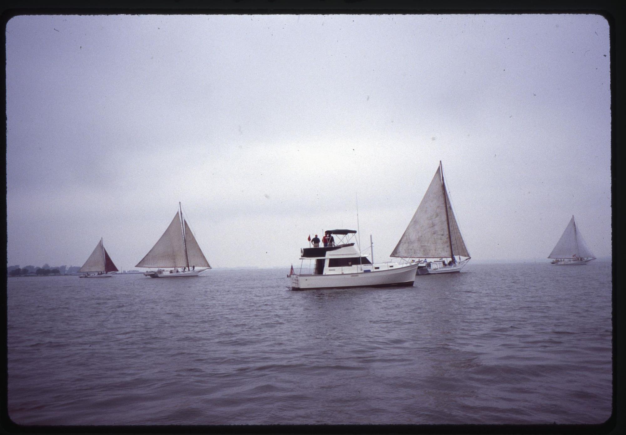 CBMM catalog image
