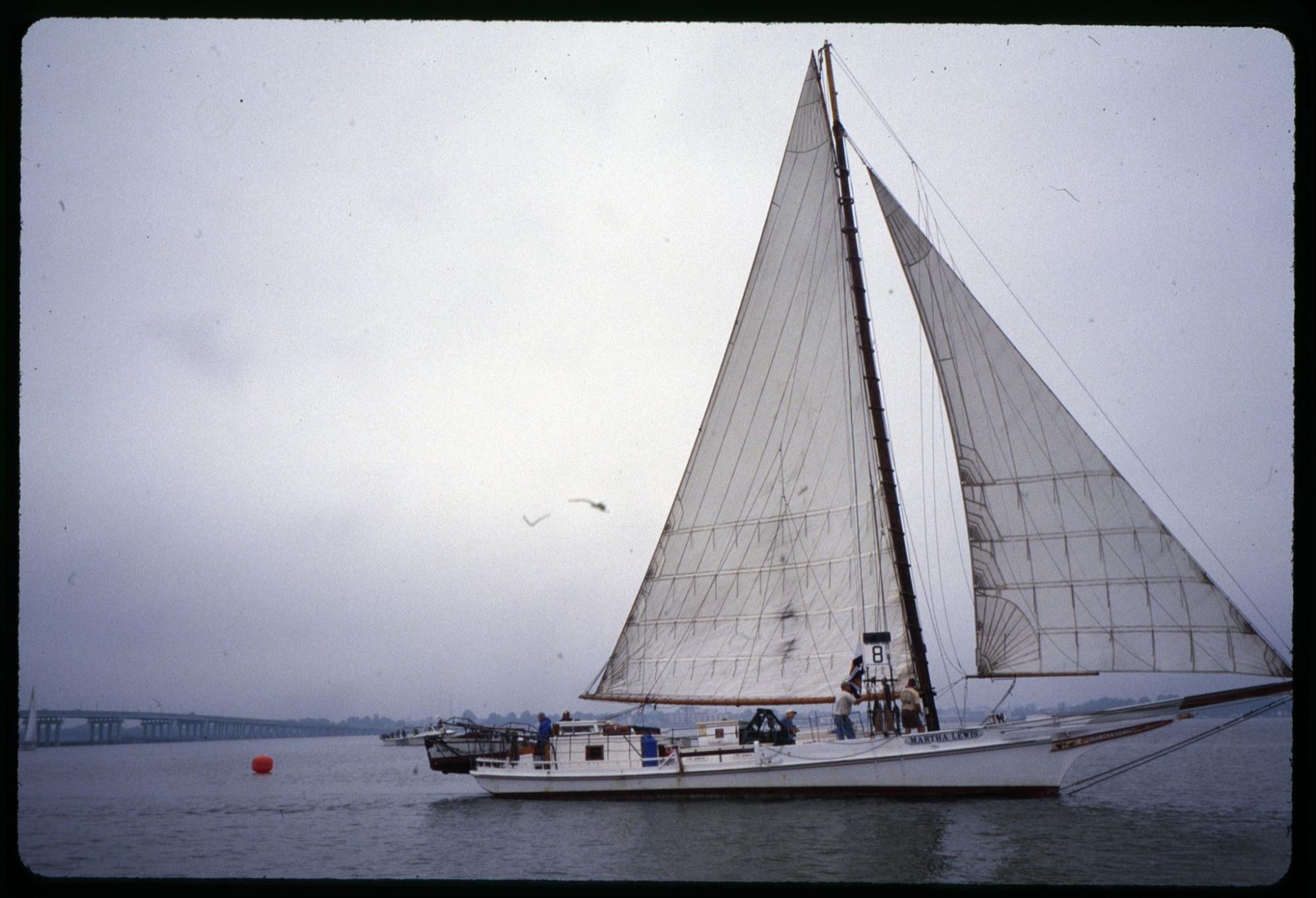 CBMM catalog image