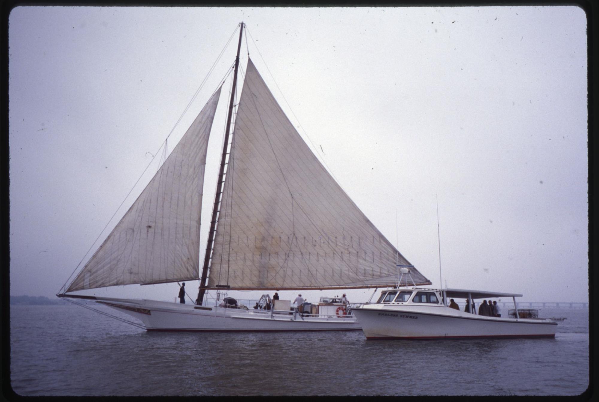 CBMM catalog image