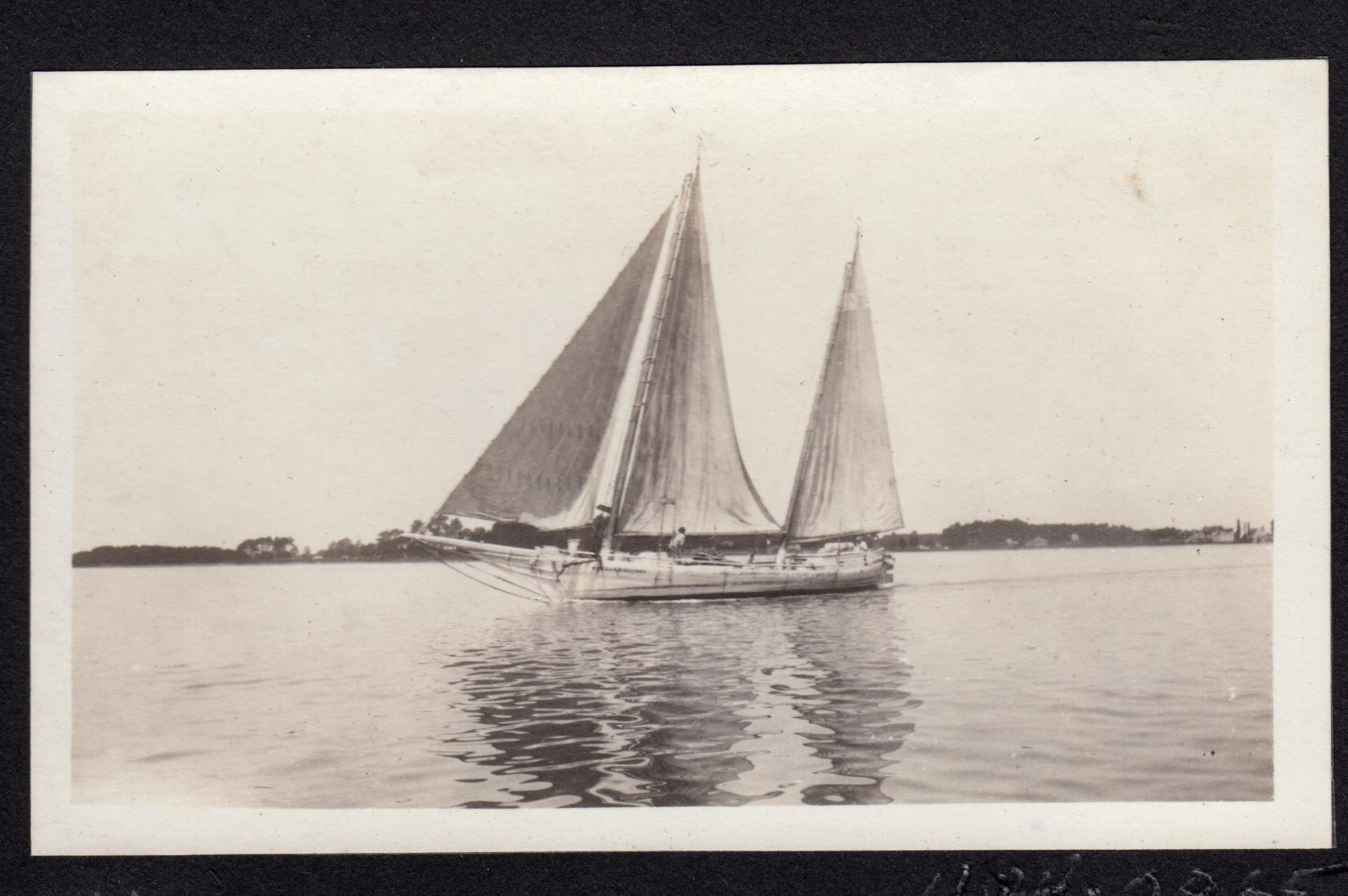 CBMM catalog image