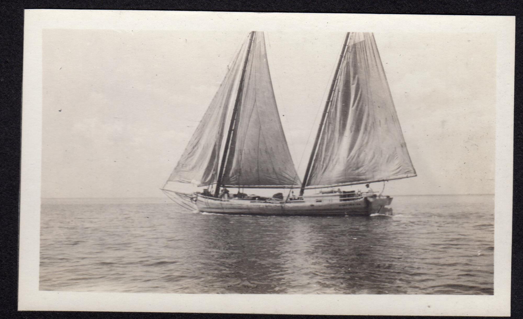 CBMM catalog image
