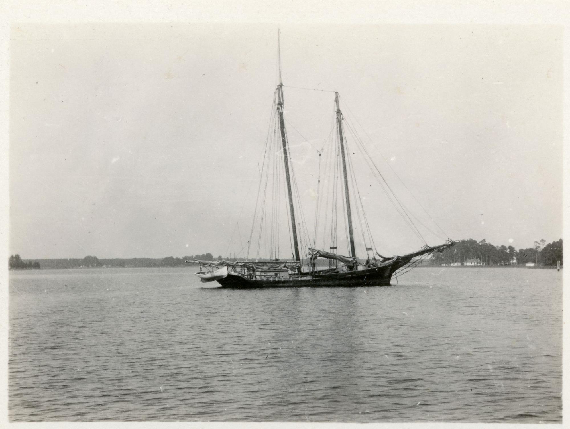 CBMM catalog image