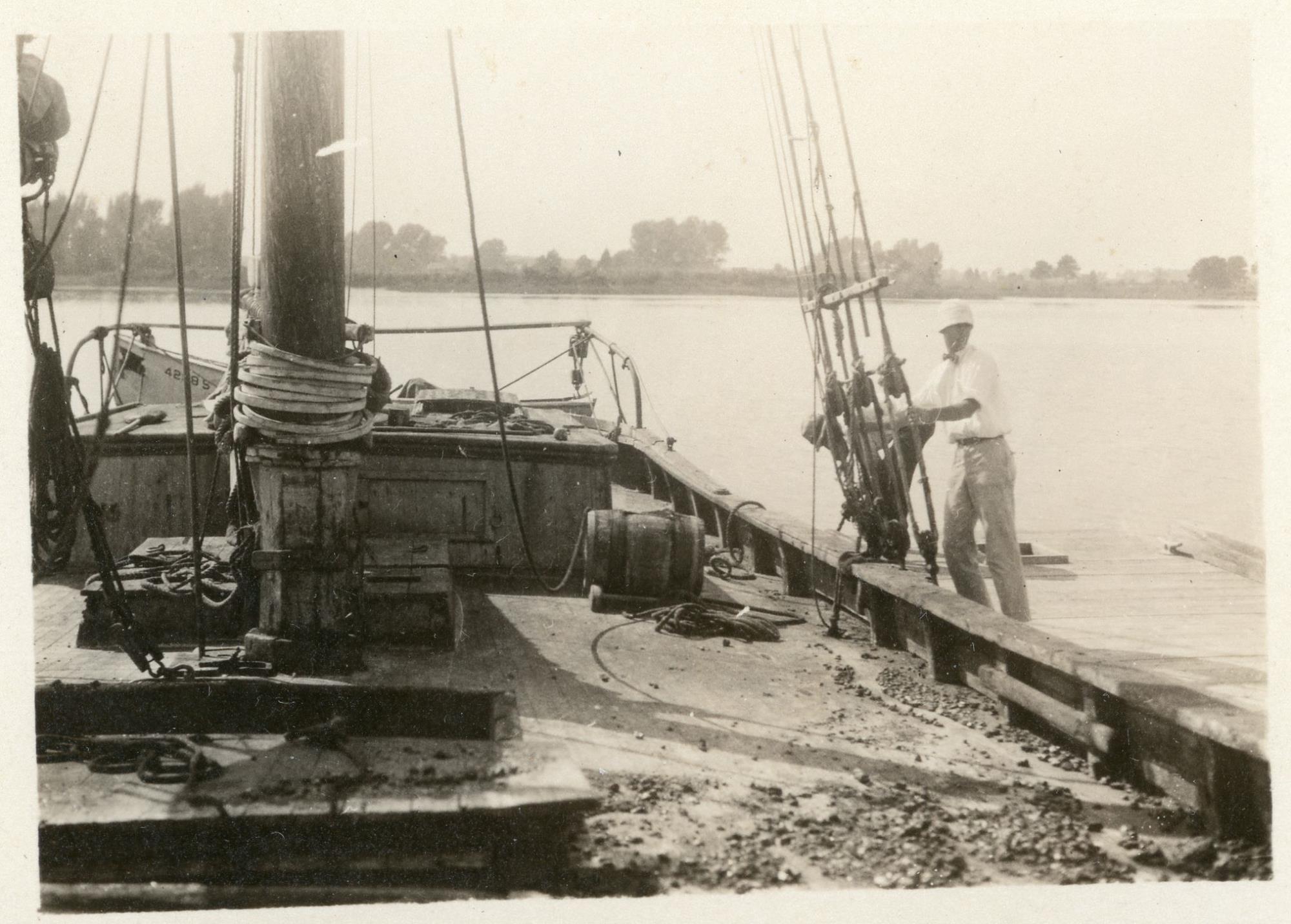 CBMM catalog image
