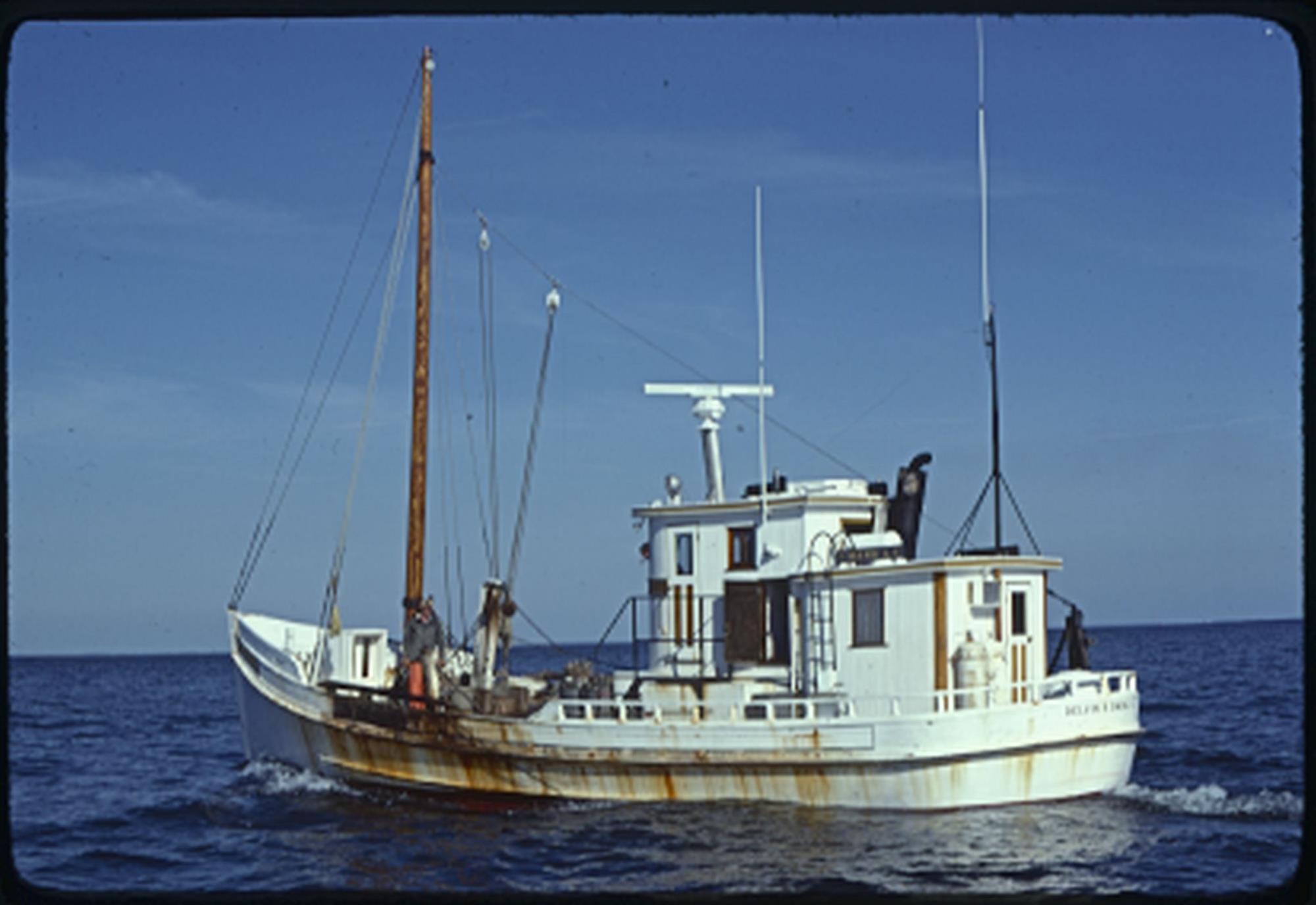 CBMM catalog image