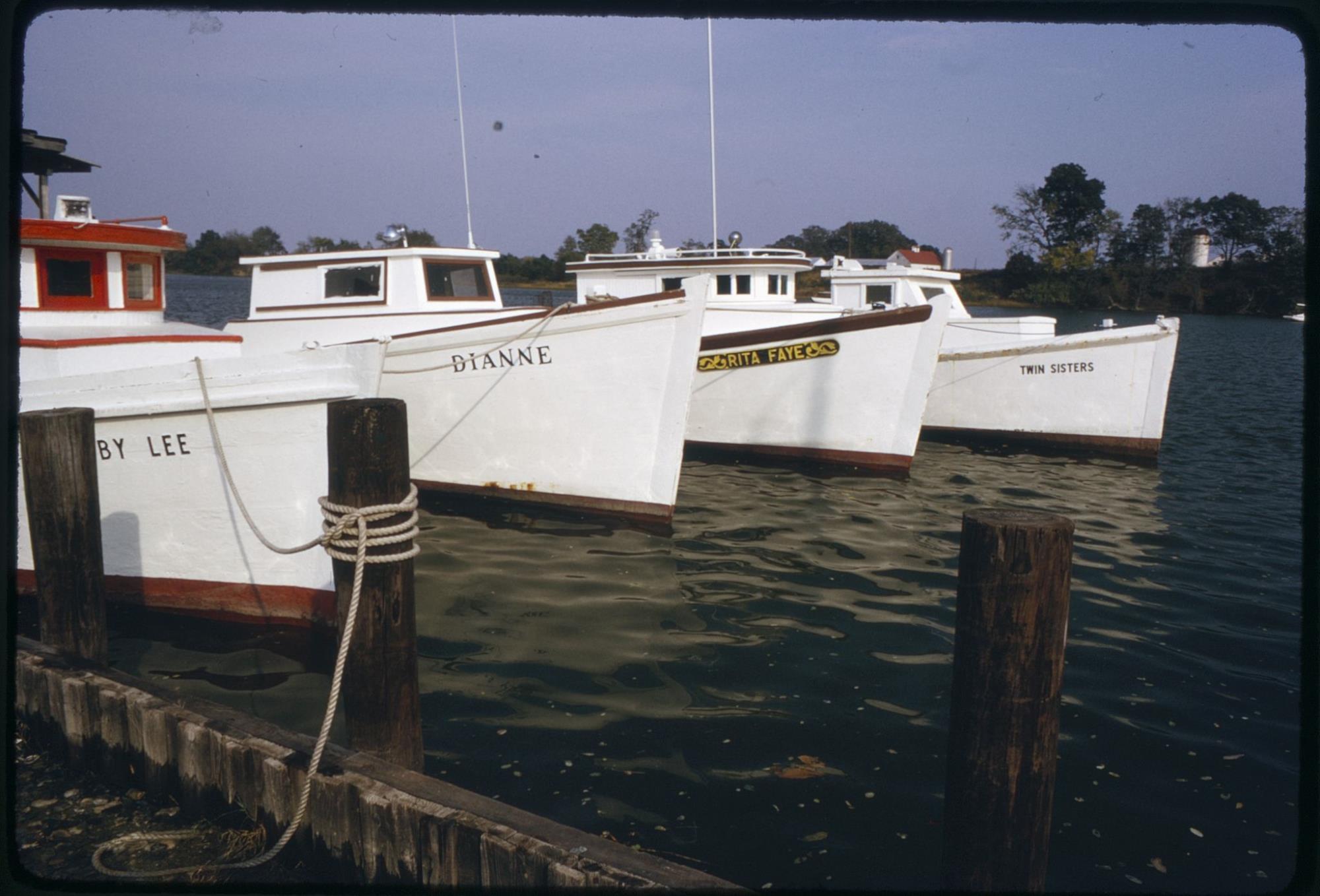 CBMM catalog image