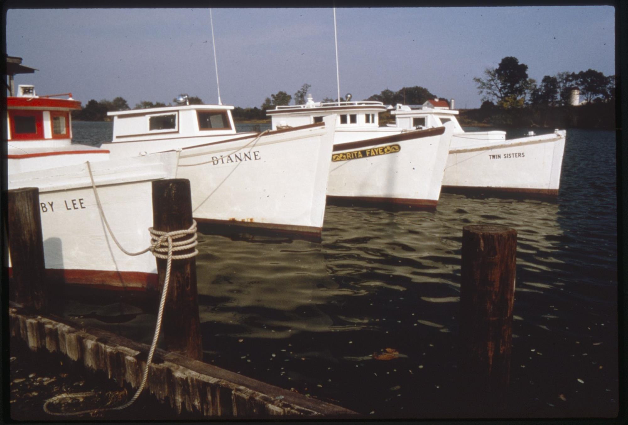 CBMM catalog image