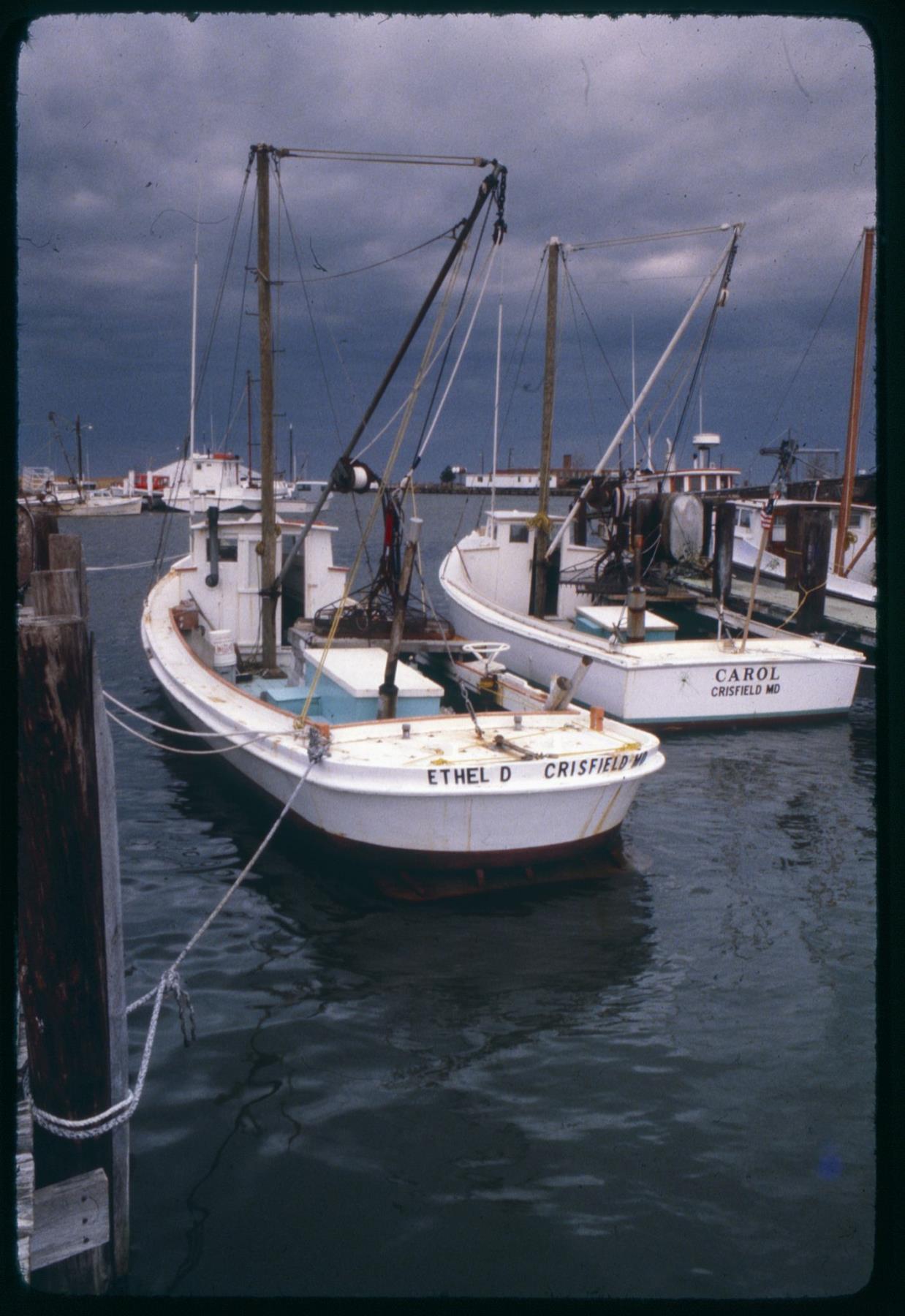 CBMM catalog image