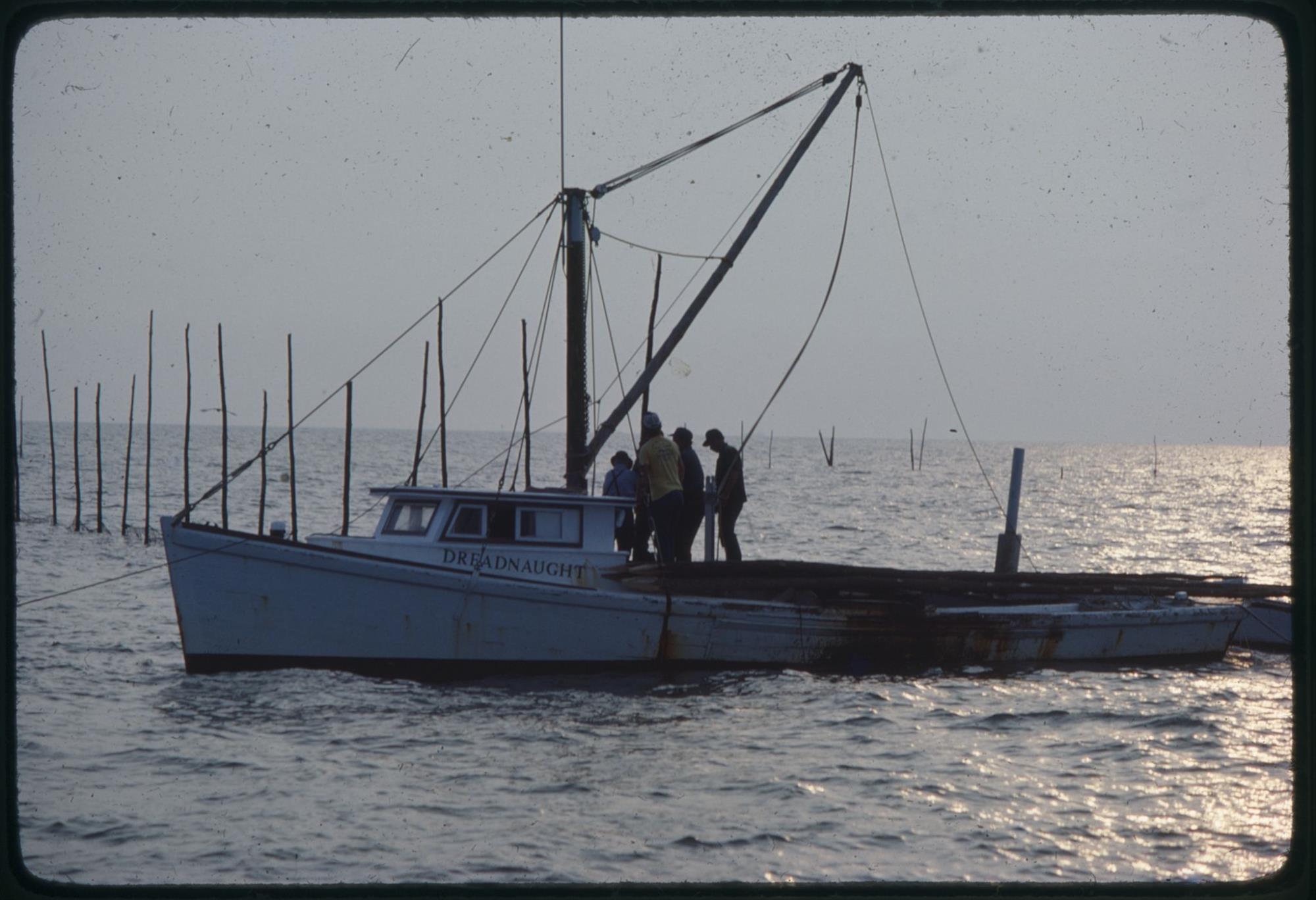 CBMM catalog image