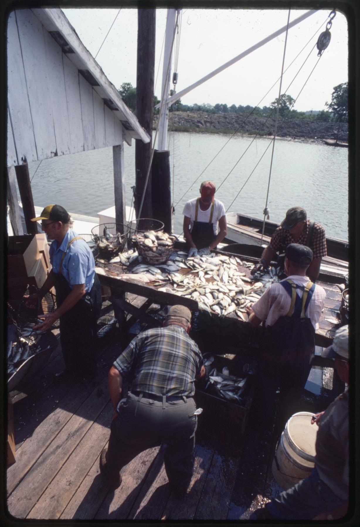 CBMM catalog image