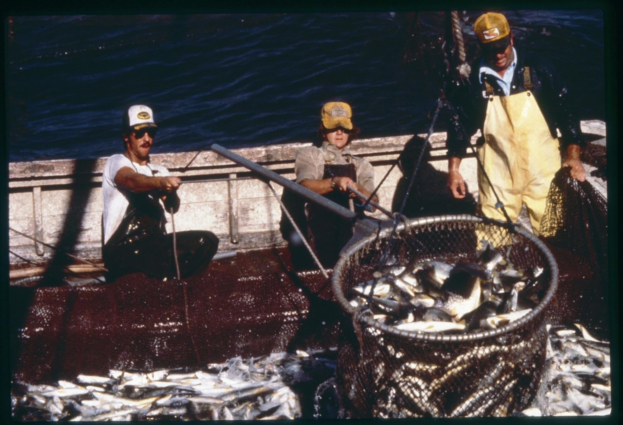 CBMM catalog image